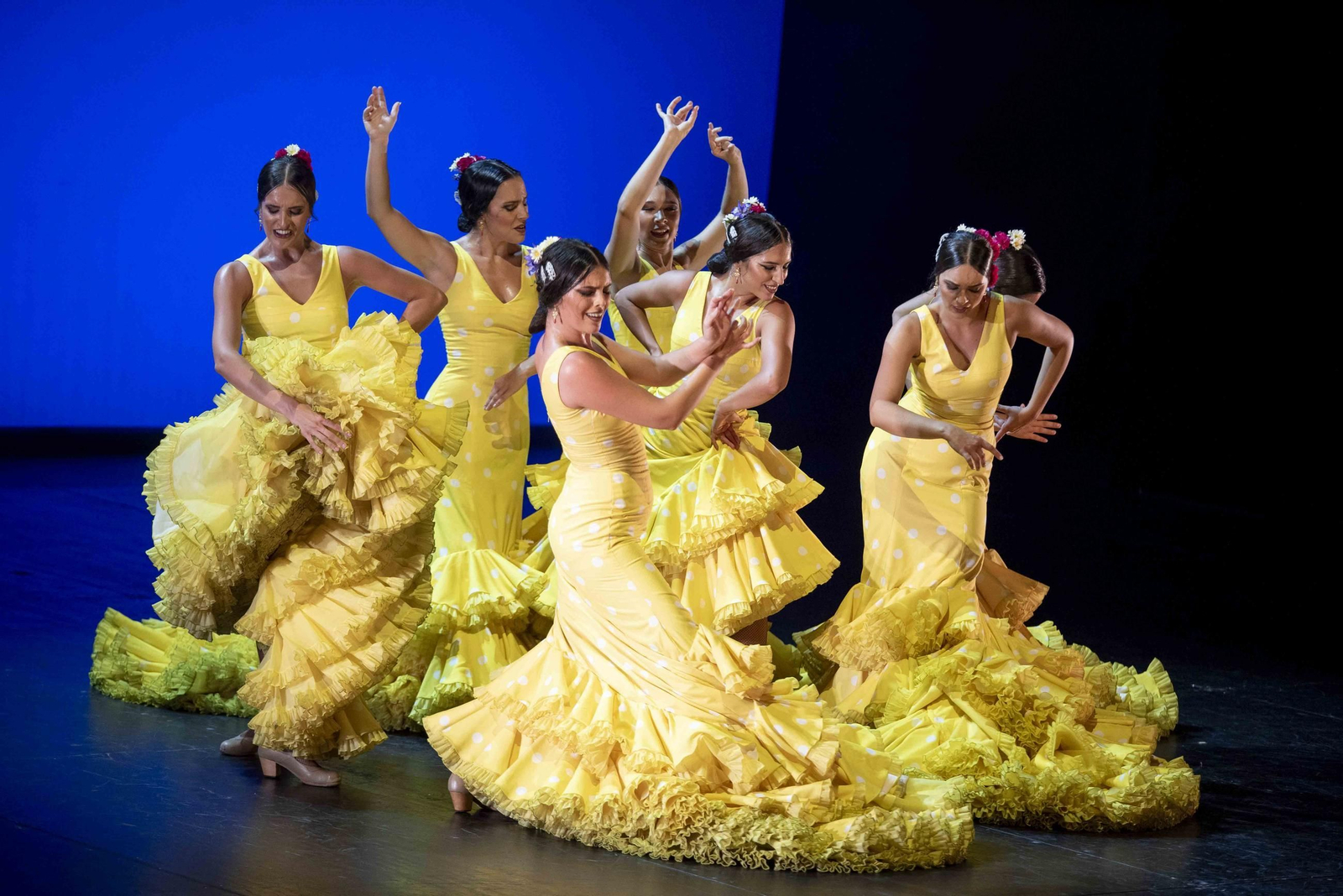El público disfrutó mucho con el Ballet Flamenco de Andalucía y su ‘Tierra bendita’.
