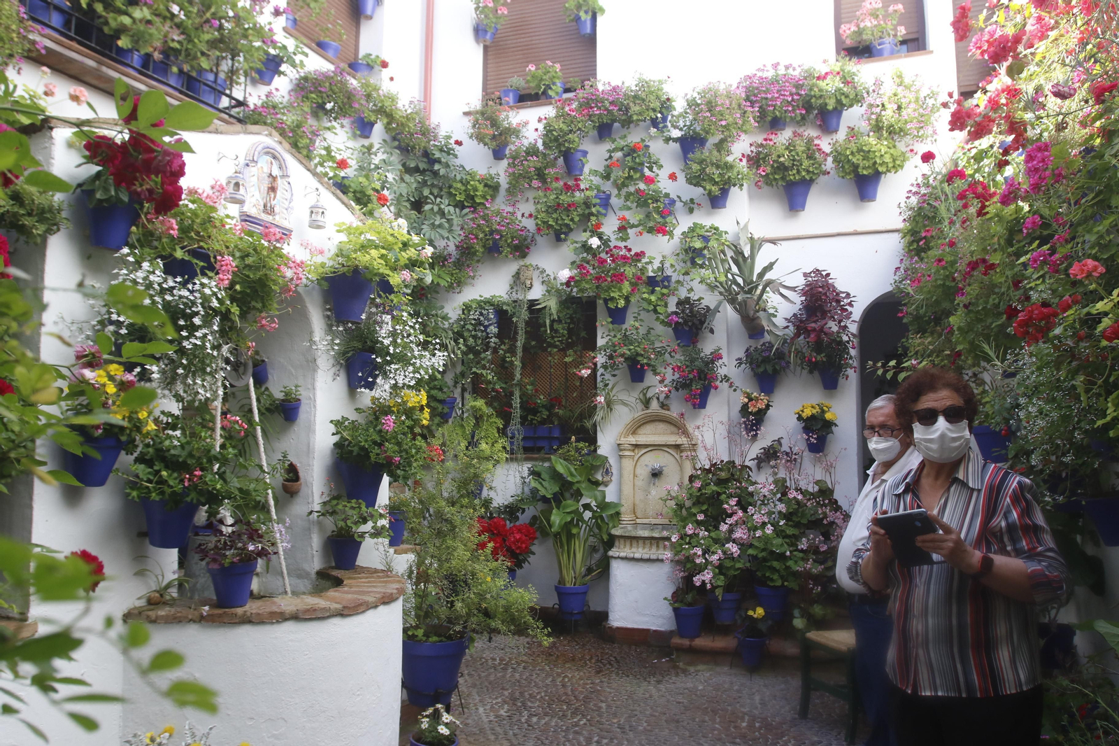 Ruta San Lorenzo de los Patios de Córdoba, en imágenes