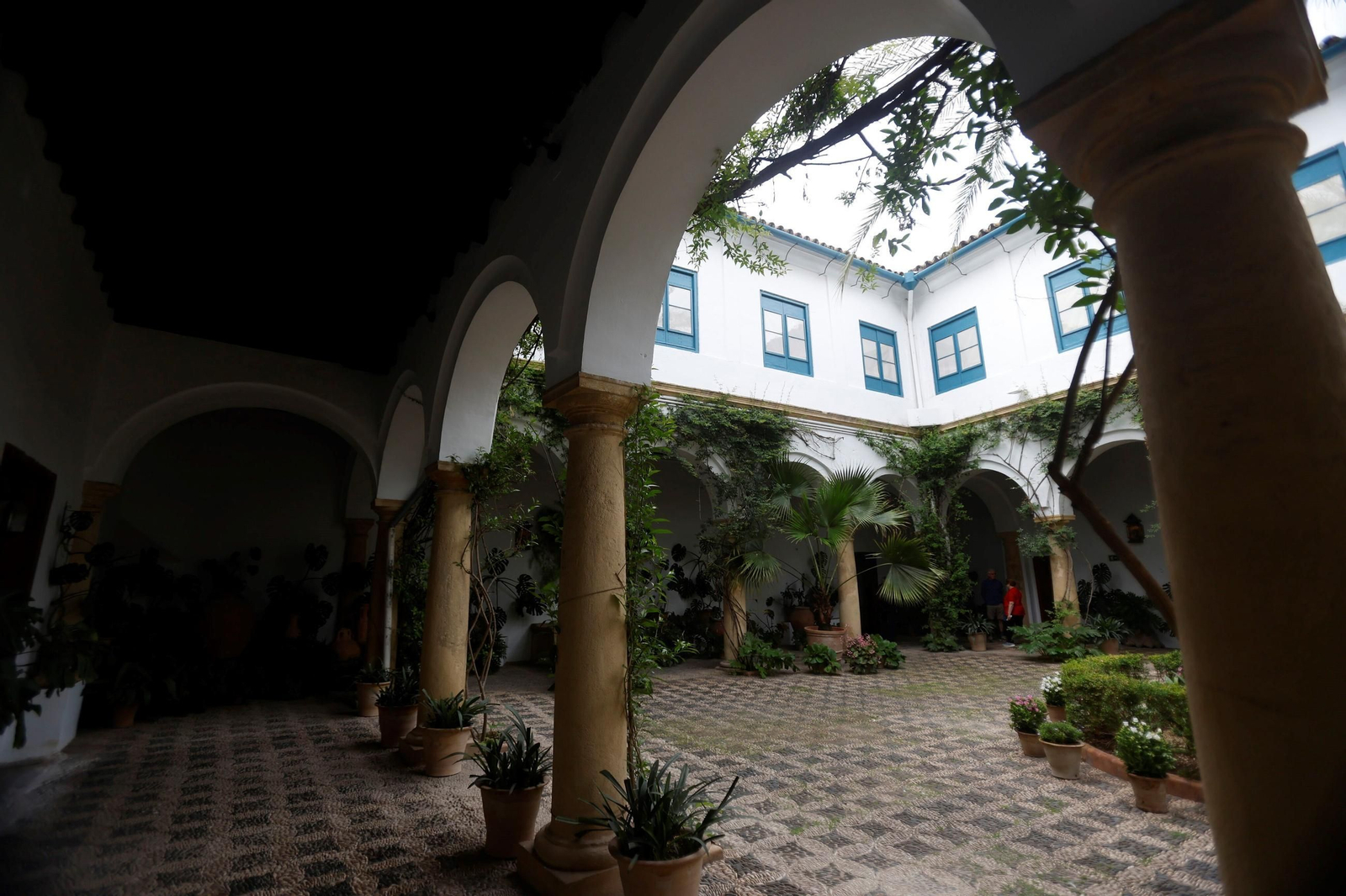 Los Patios del Palacio de Viana, en imágenes