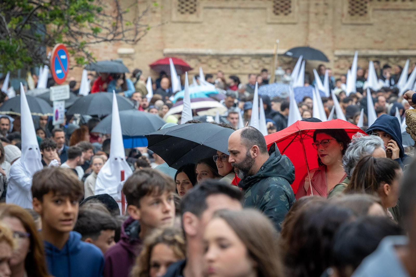 Las imágenes de la cofradía de la Sagrada Cena en la Semana Santa de Cádiz de 2024 Las imágenes de la cofradía de la Sagrada cena en la Semana Santa de Cádiz de 2024
