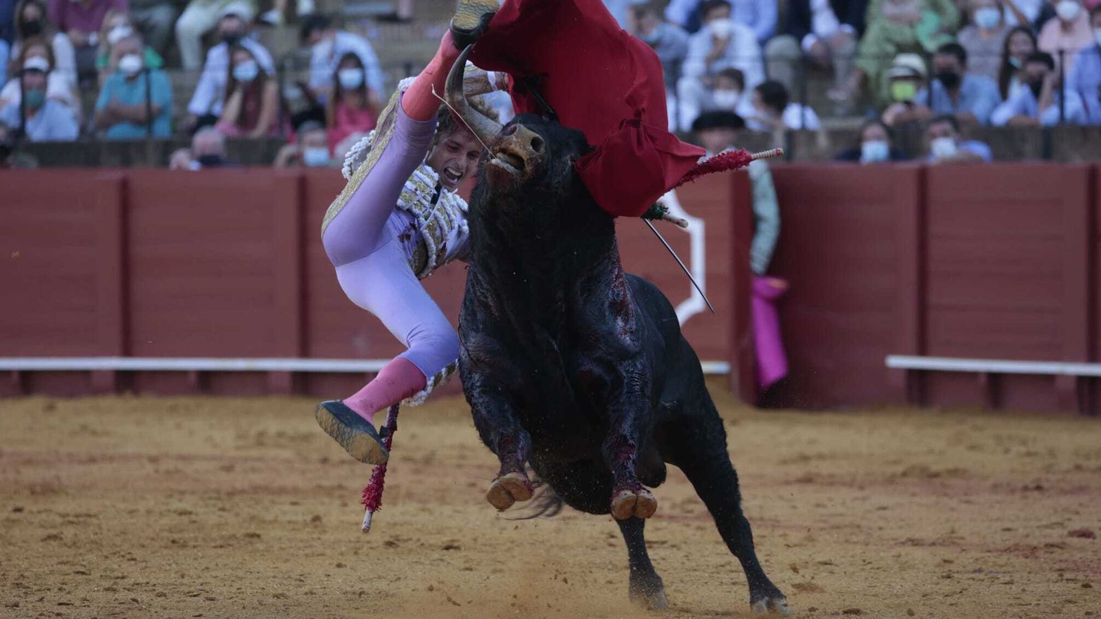 Jaime González-Écija es volteado por uno de los novillos de El Parralejo.