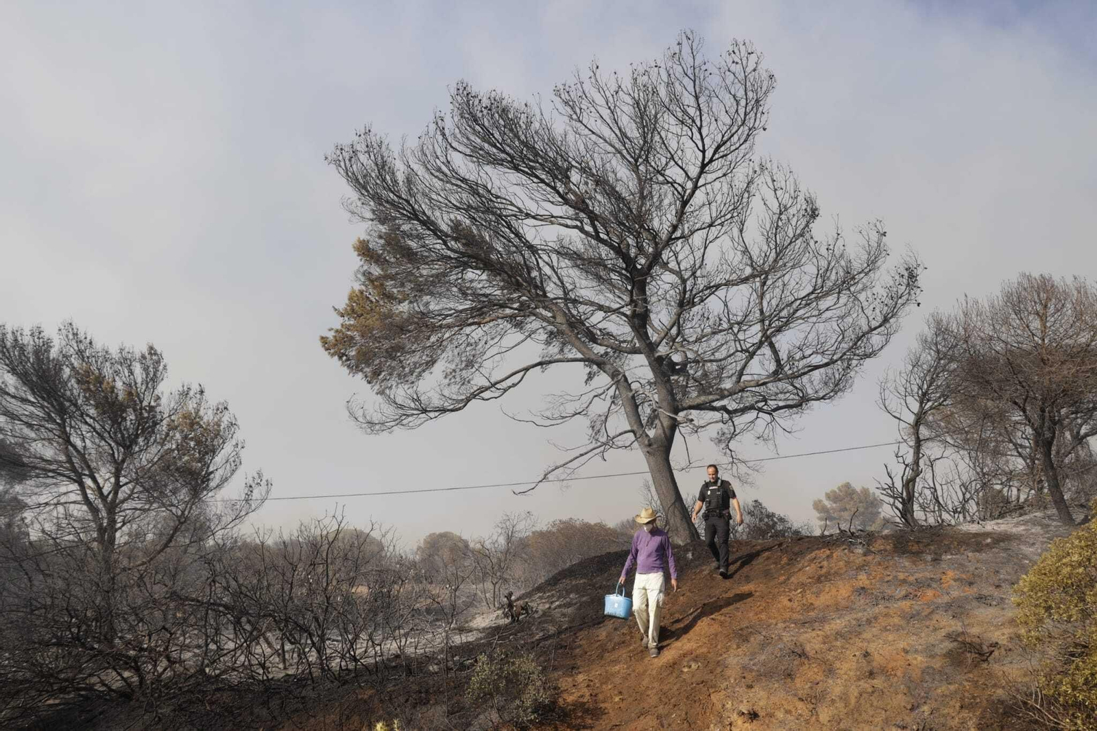 El fuego arrasa Las Canteras en Puerto Real