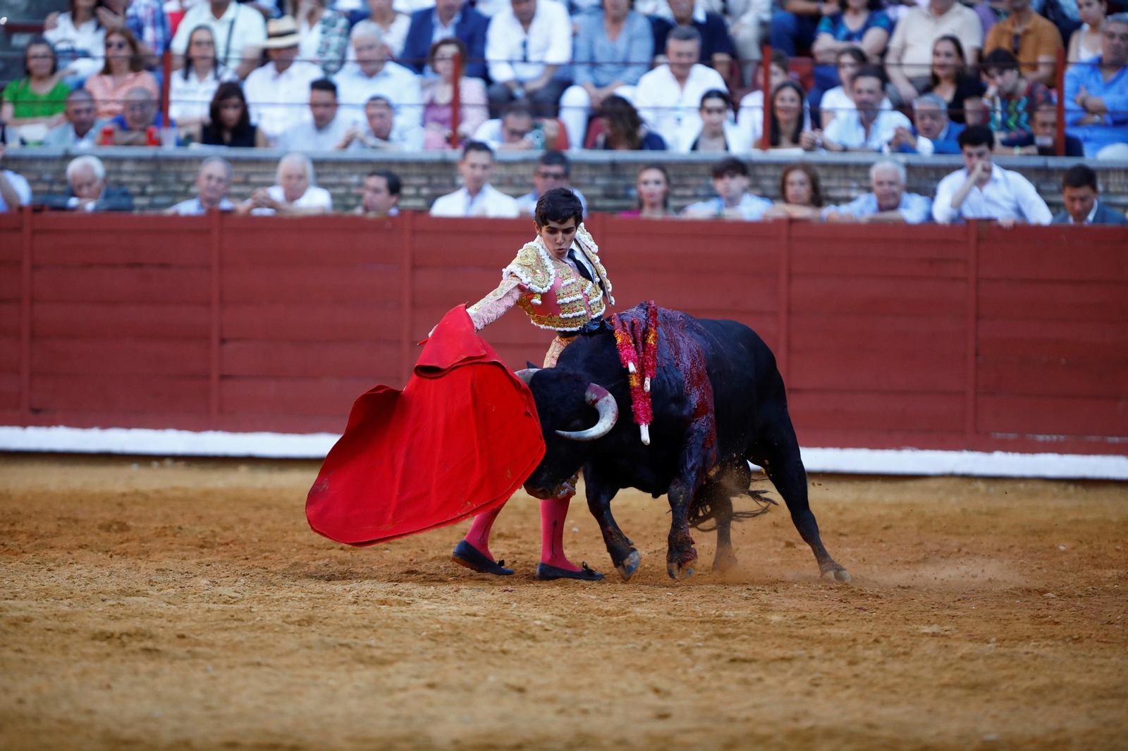 La presentación del novillero Manuel Román en Córdoba, en imágenes