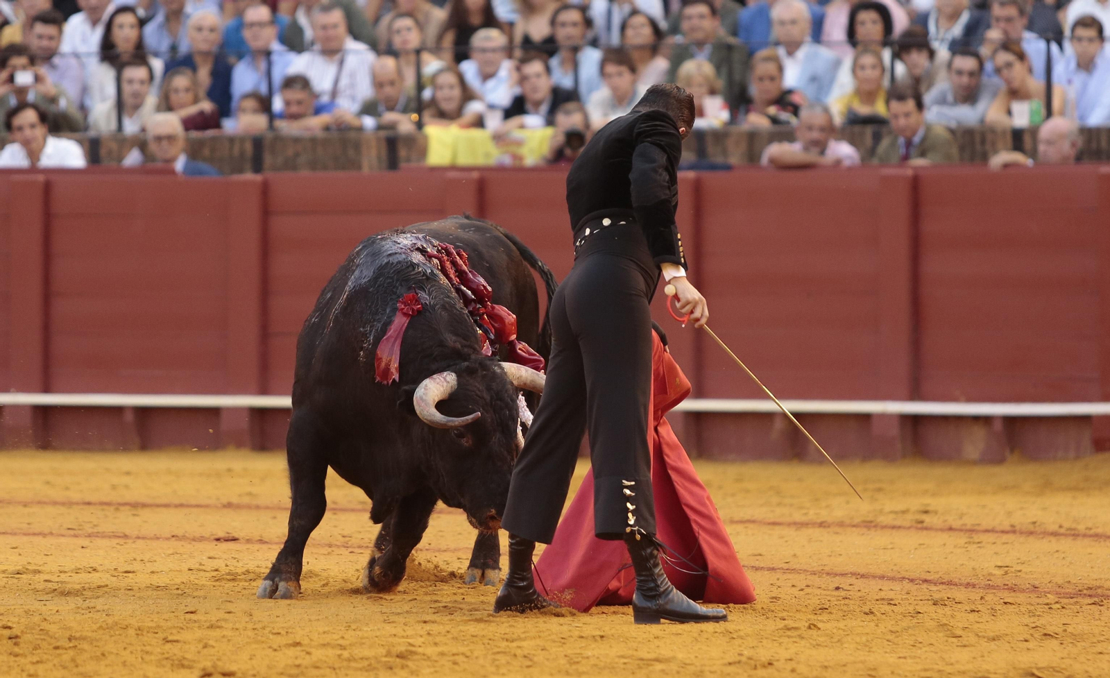 Imágenes del festival benéfico de toros en beneficio de la Hermandad de la Macarena