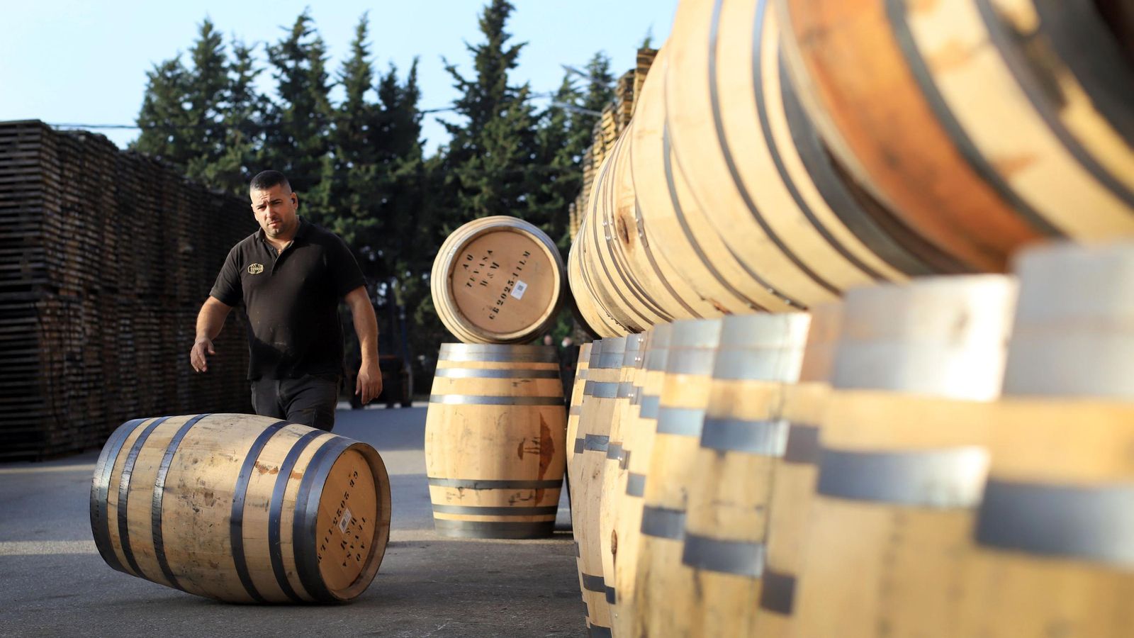 Botas listas para su envinado como Sherry Cask.