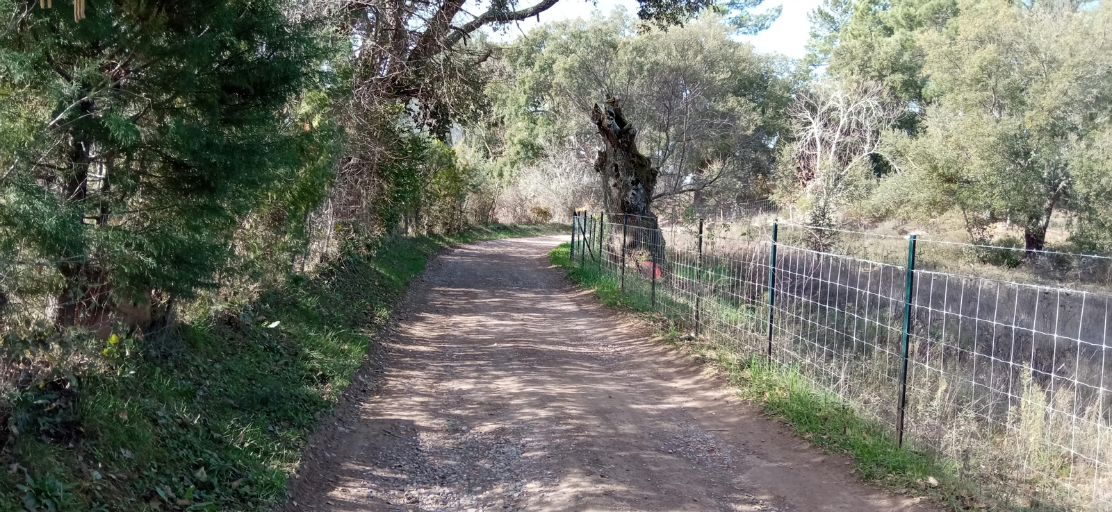 Las imágenes de la ruta de la Dehesa de Valdelama: De Los Marines a Fuenteheridos y vuelta