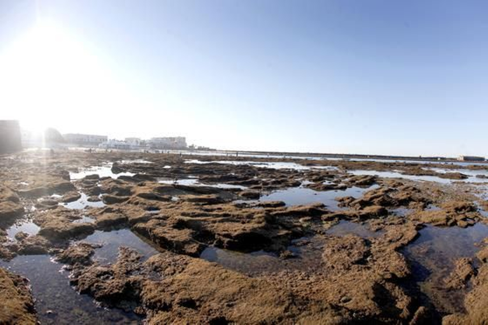Desde primeras horas de la mañana, en la playa de la Caleta se han reunido miles de ciudadanos, dispuestos a disfrutar y fotografiar la marea del año./Jesús Marín

Foto: Julio Gonz?z/Jes?ar?