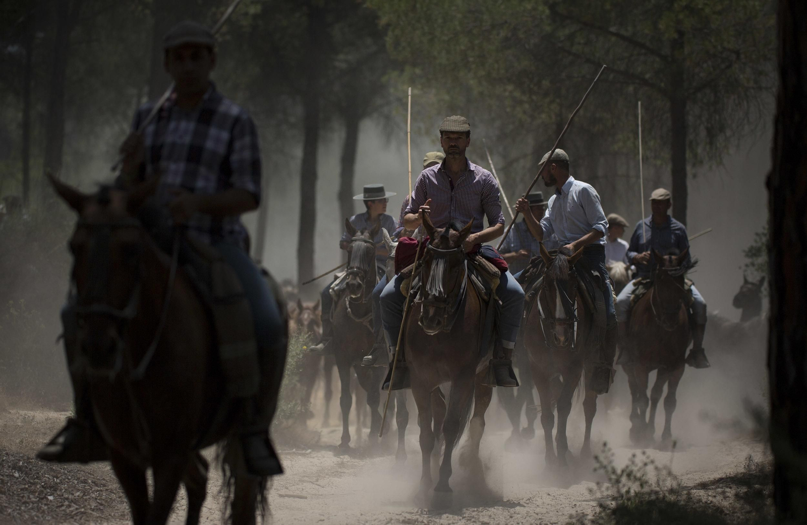 La tradicional y ancestral 'Saca de las  Yeguas', en imágenes