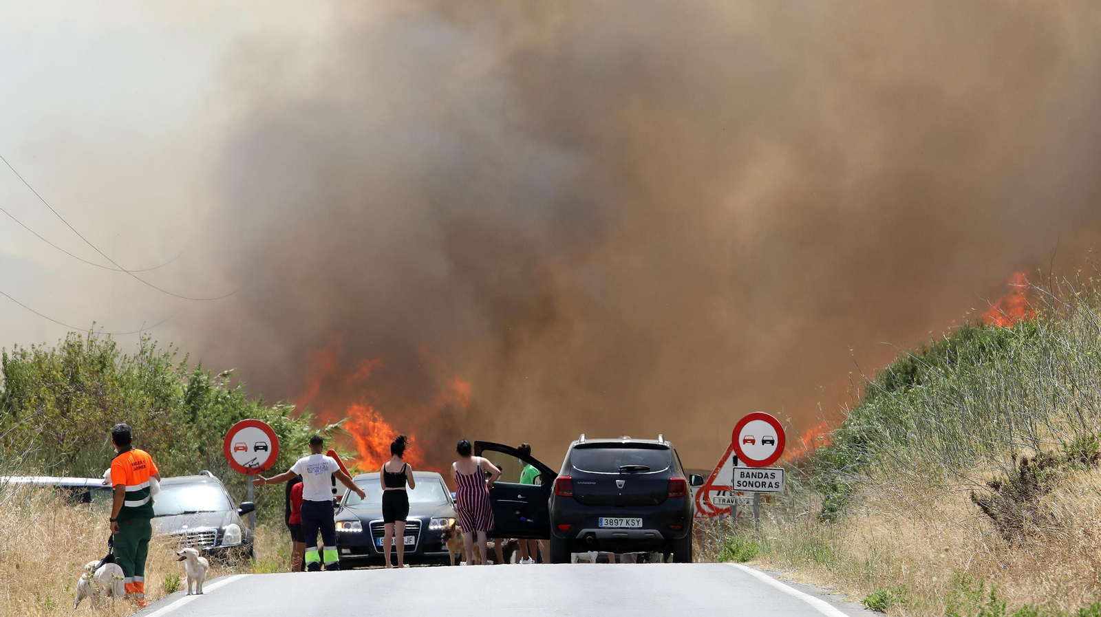 Grave incendio en la campiña de Jerez
