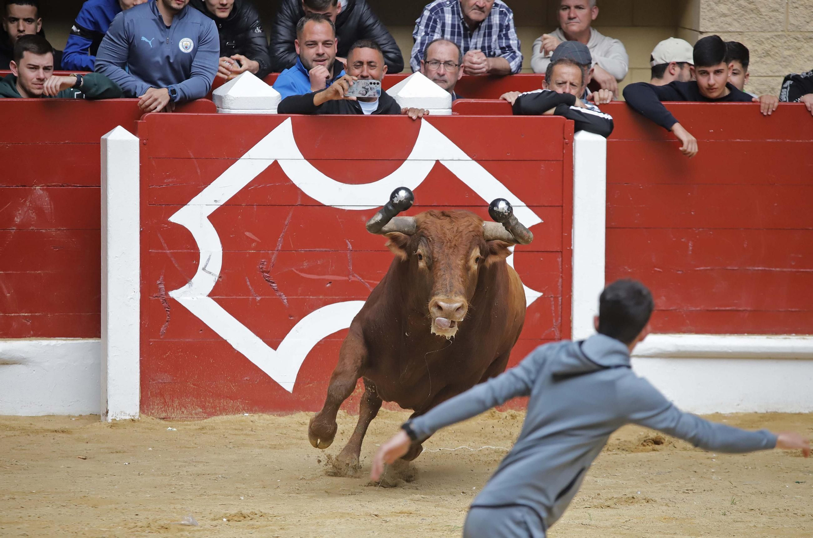 Fotos de los encierros del domingo del Toro Embolao en Los Barrios
