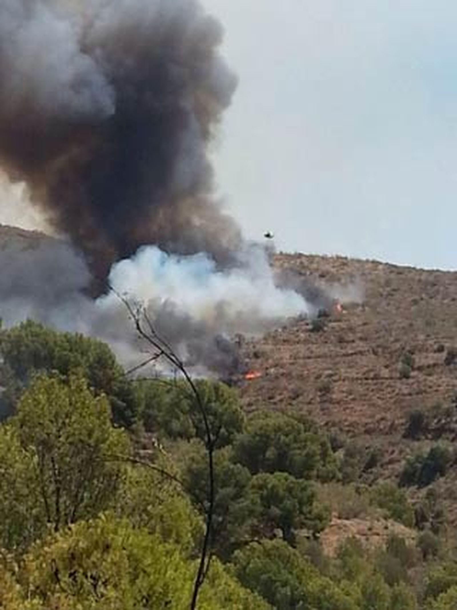 Las imágenes del incendio forestal en Málaga