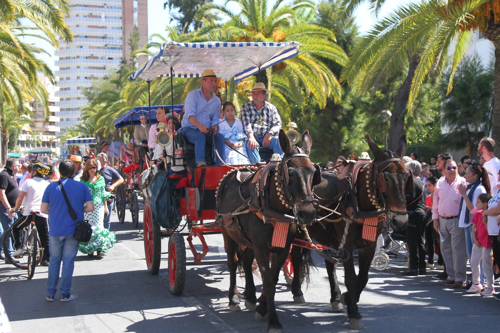 Imágenes de los caballistas, peregrinos a pie y carros de la Hdad de Emigrantes