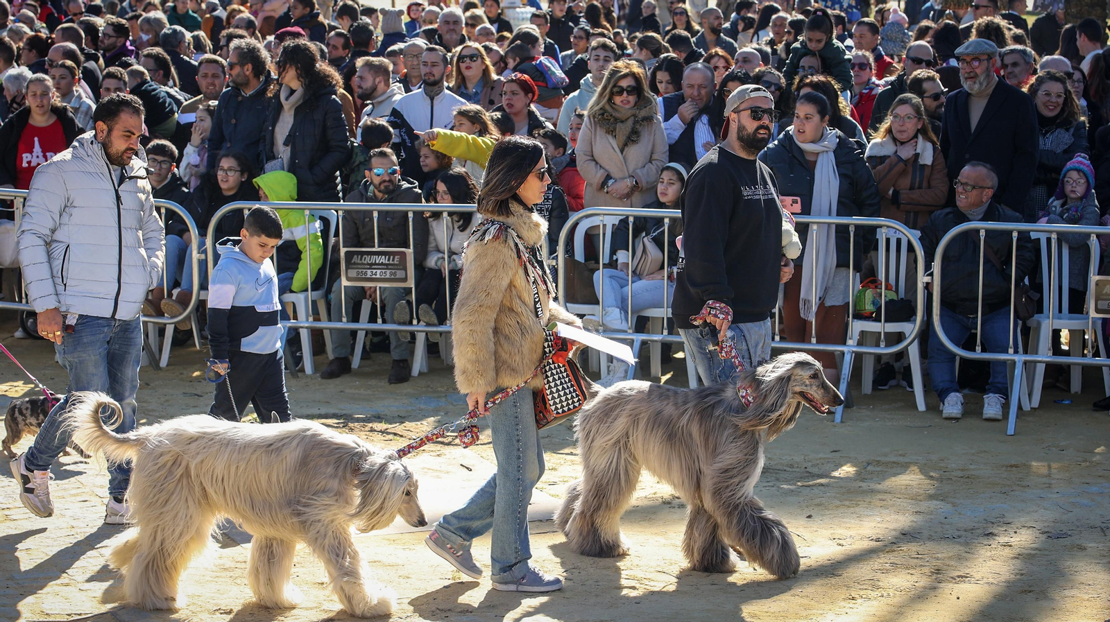 Búscate en San Antón de Jerez