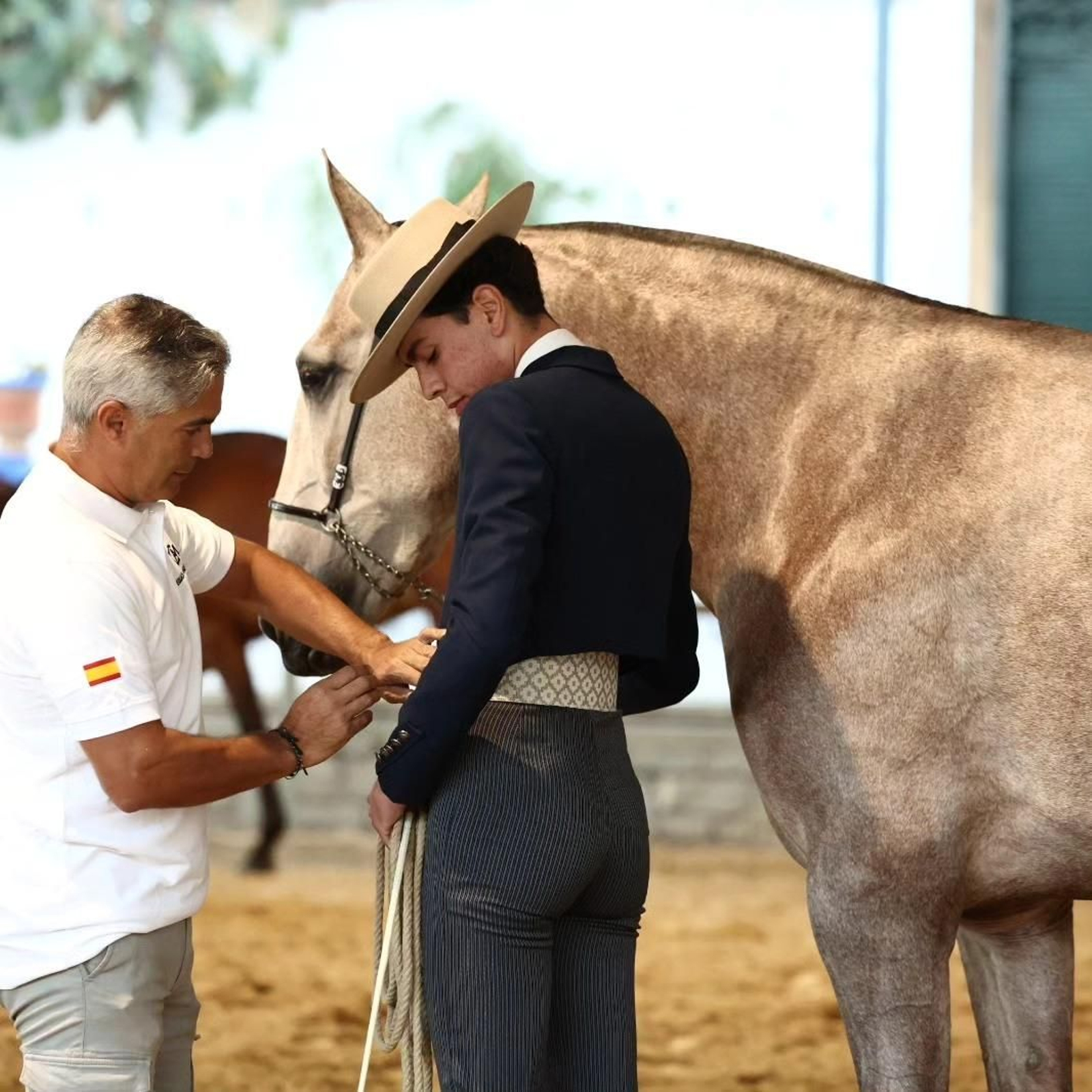 Así es el bello concurso de caballos de Andújar, en imágenes