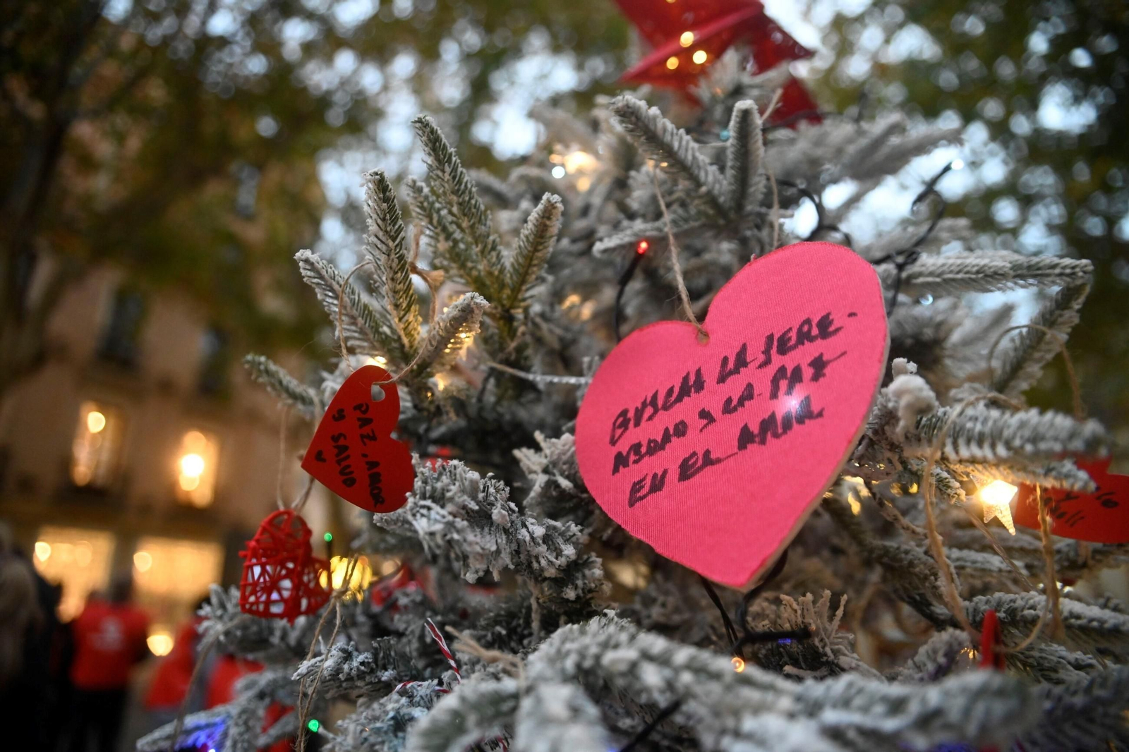 El árbol solidario de Cáritas en Córdoba