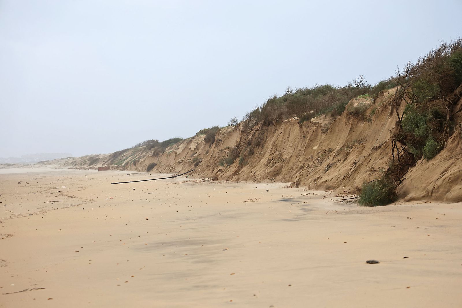 Las Fotografías de los daños ocasionados por la borrasca Leonardo en la playa de La Bota