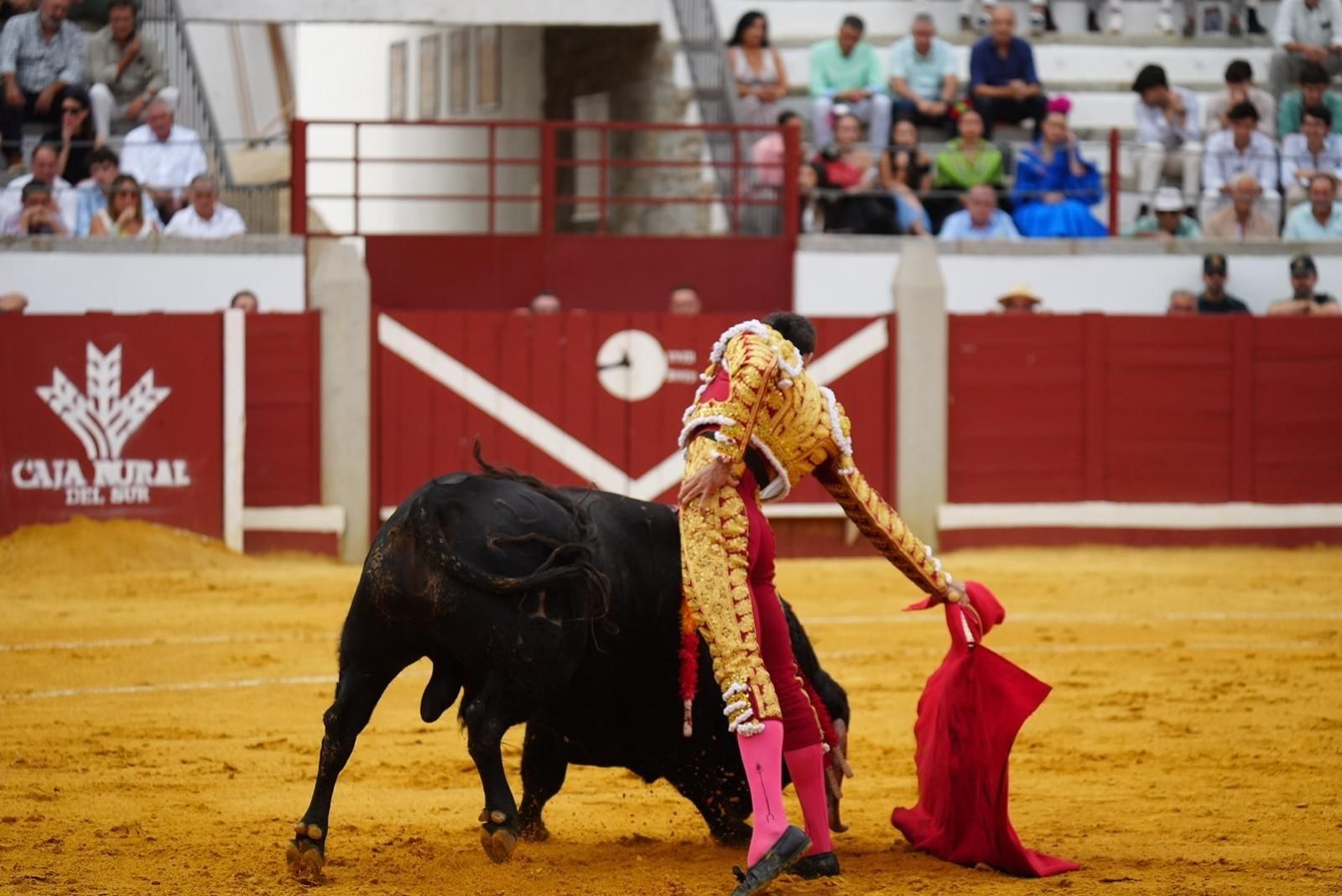 Las mejores imágenes de las corridas de toros de la Feria de Pozoblanco