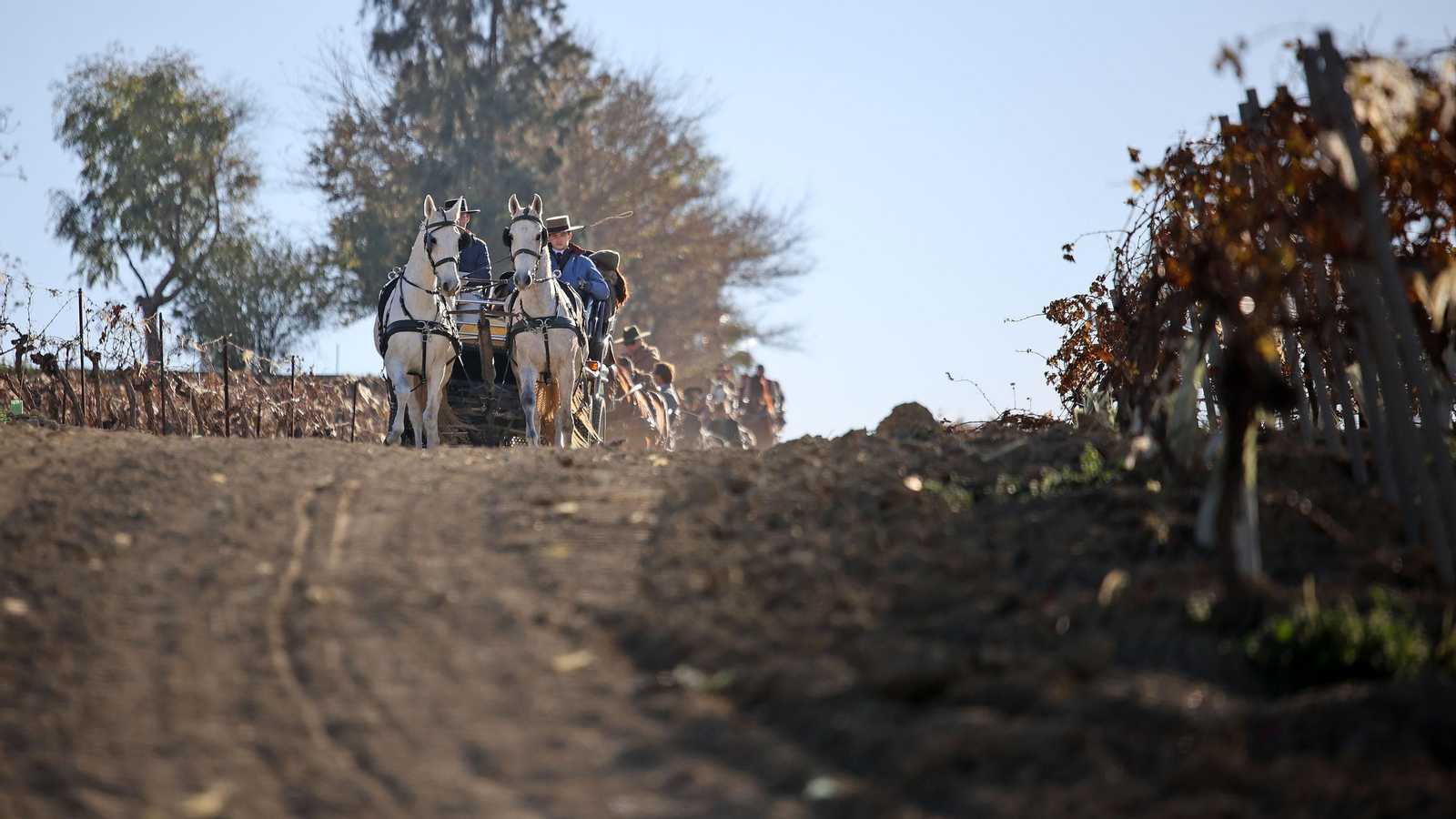 II Ruta Viñas de Jerez