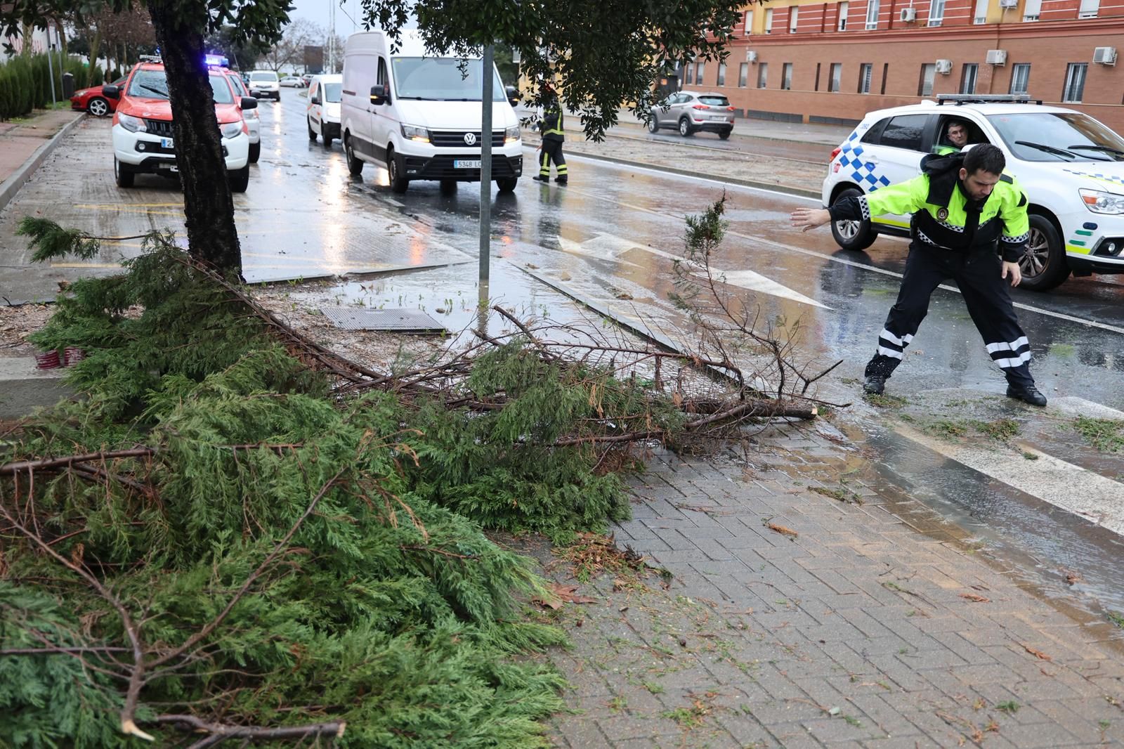 Fotografías de los destrozos de la borrasca Kristin en Huelva este miércoles