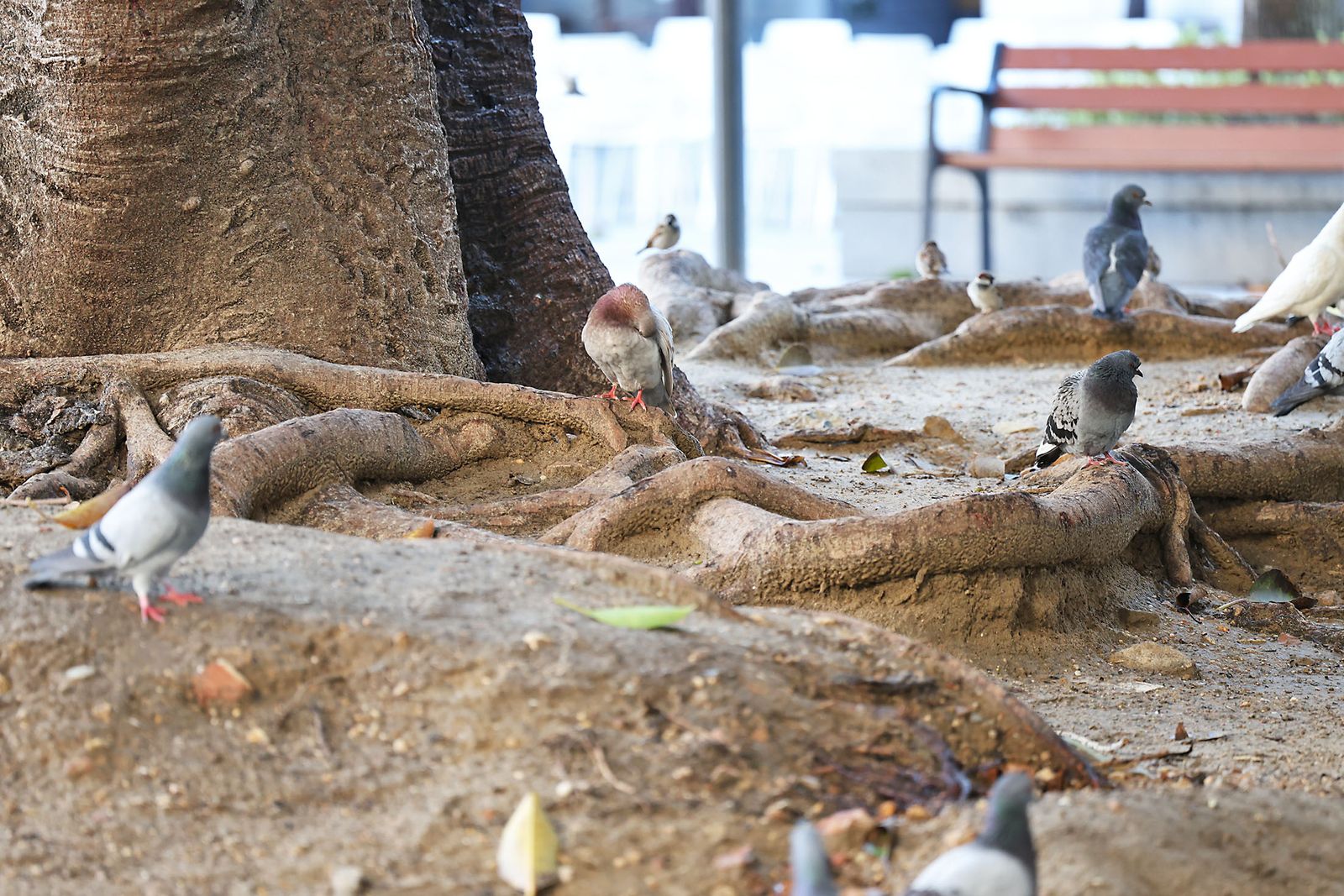 Las imágenes más destacadas del jueves 30 de enero en Huelva