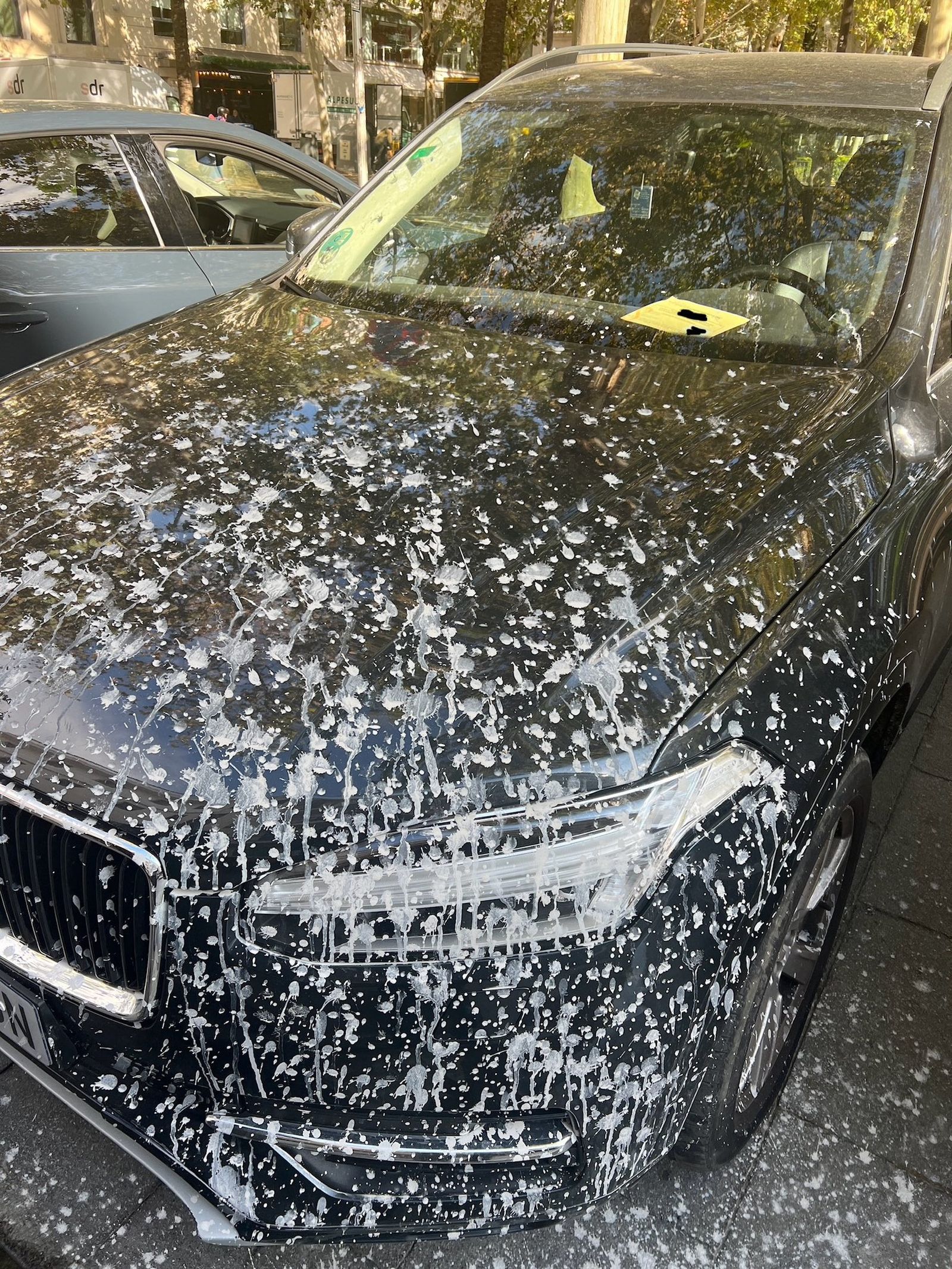 El estado del coche del concejal.