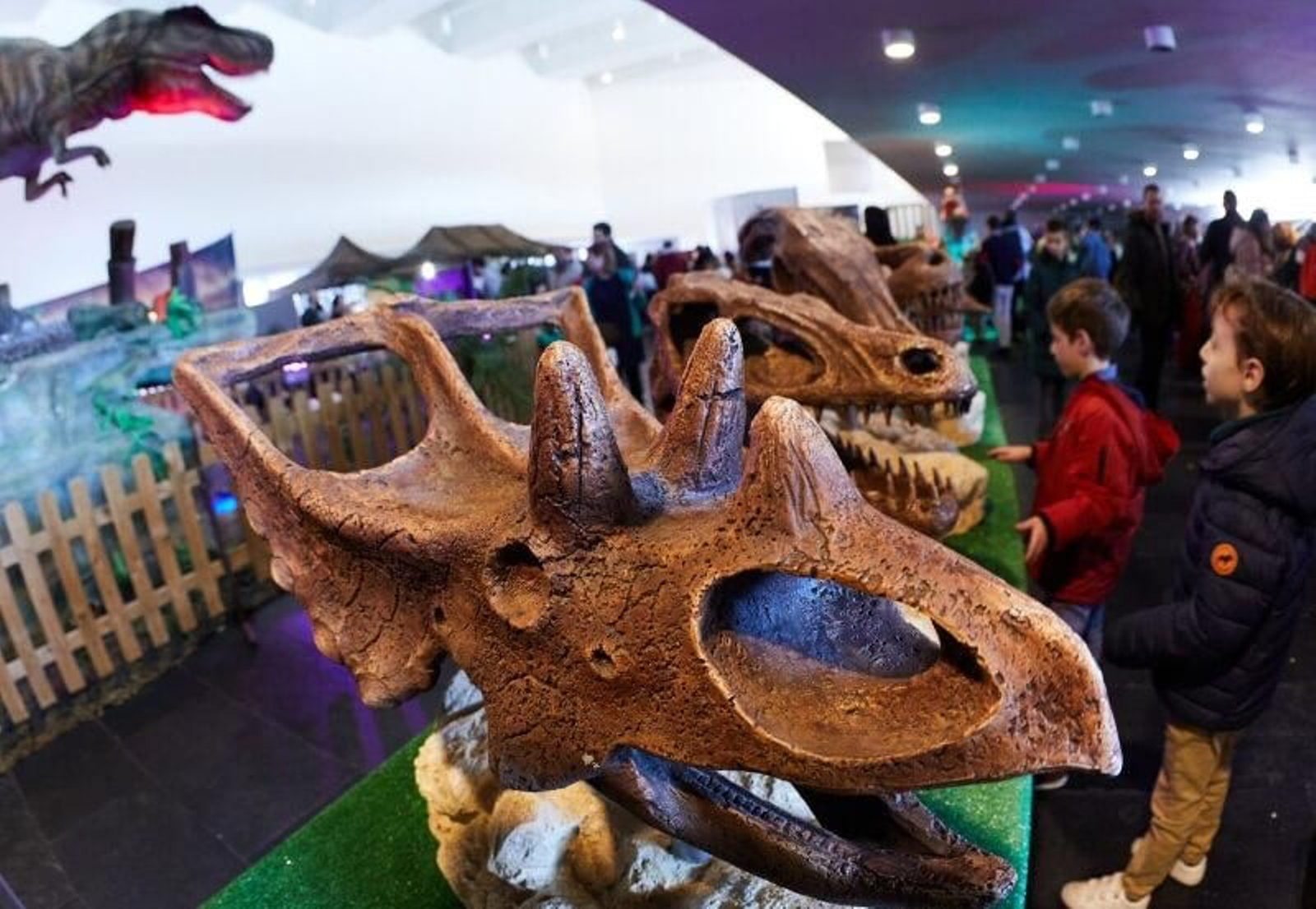 Criaturas jurásicas