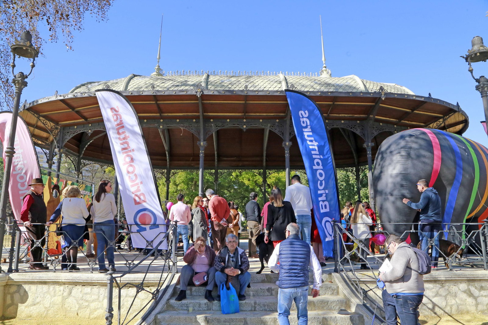 Imágenes de San Antón 2020 en Jerez