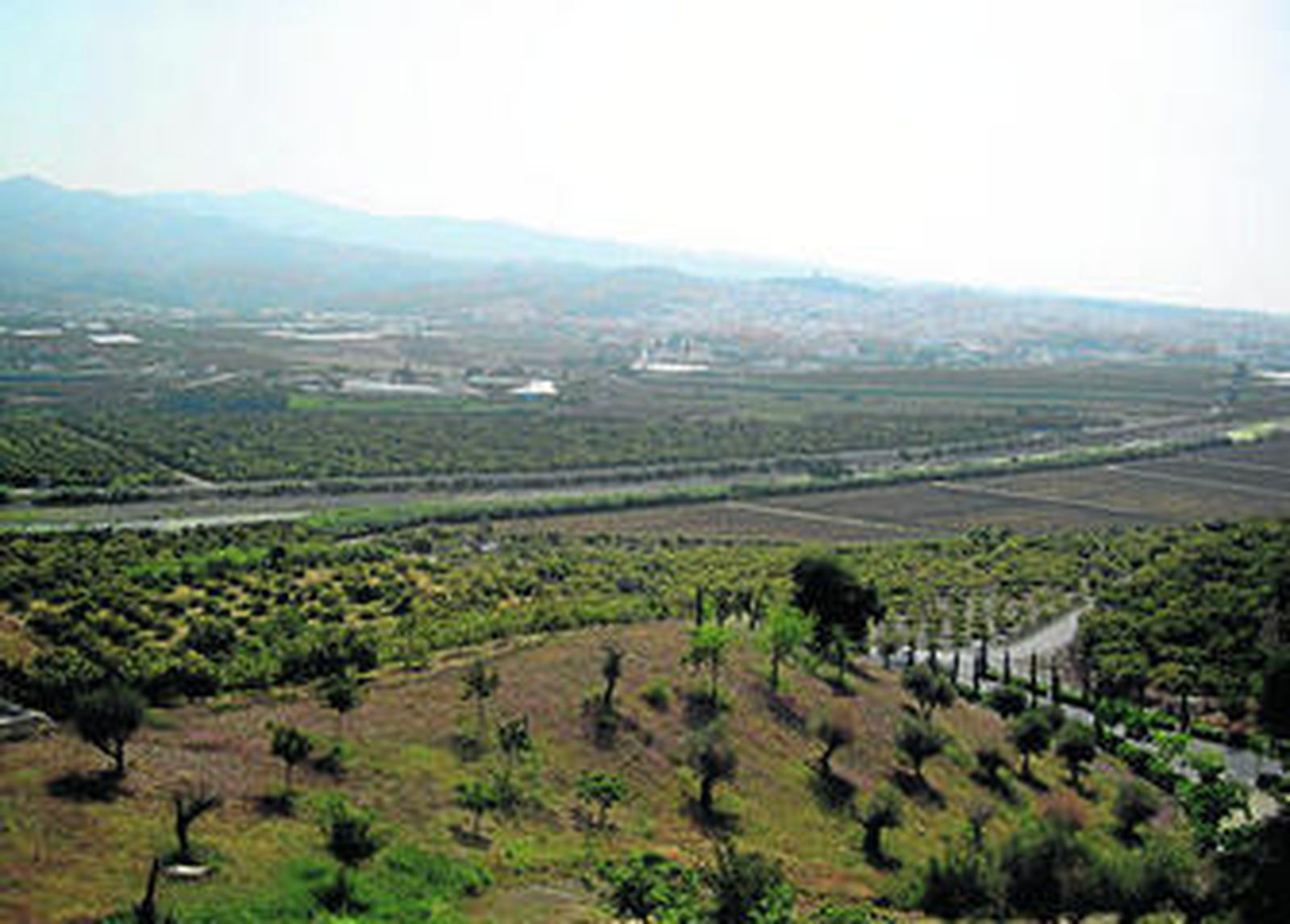 Paisaje agrario de la comarca de la Axarquía.