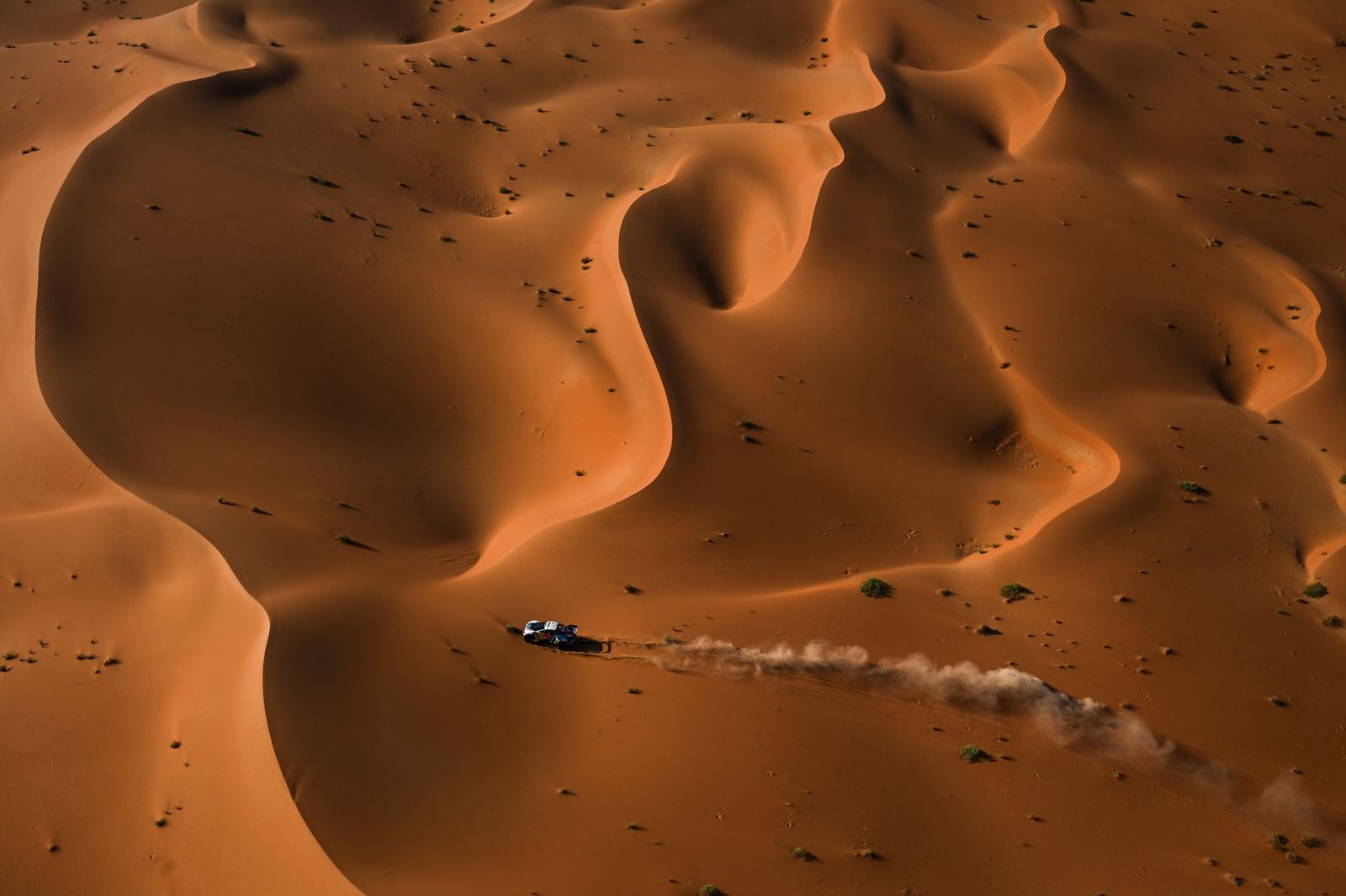 Las mejores fotos del Dakar por las dunas