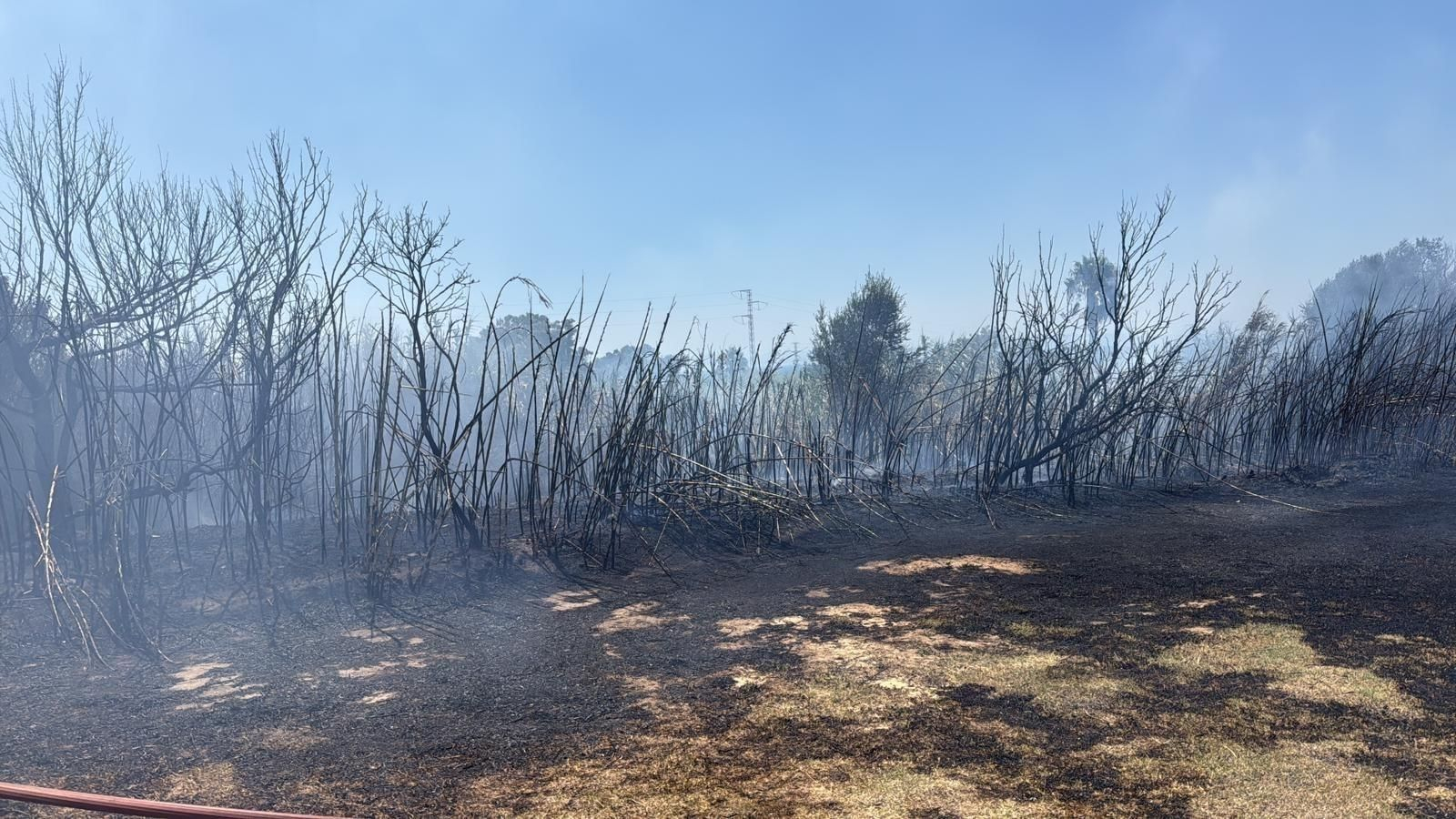 La zona afectada por el incendio.