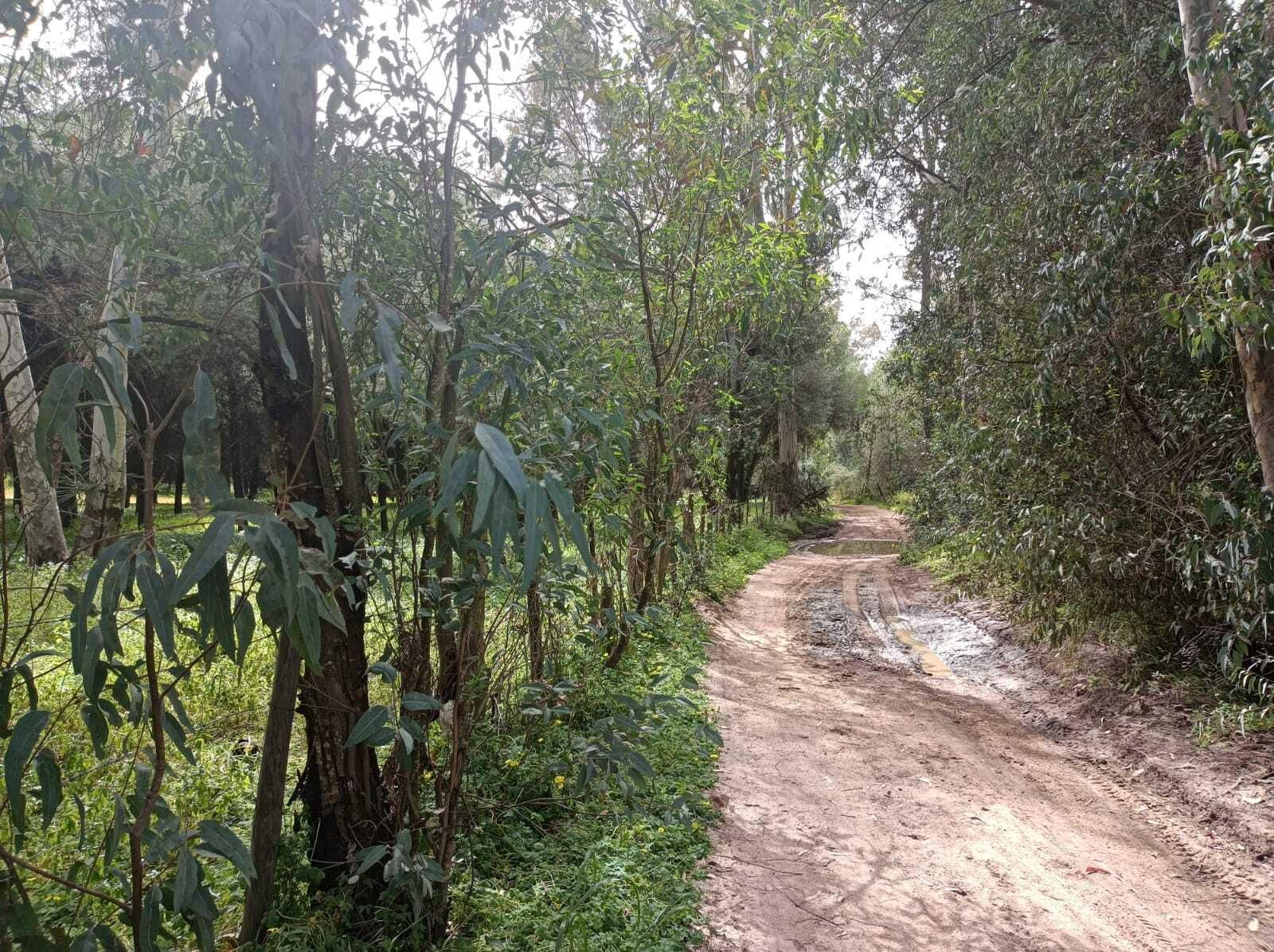 Las sombras están presentes durante gran parte de la excursión.