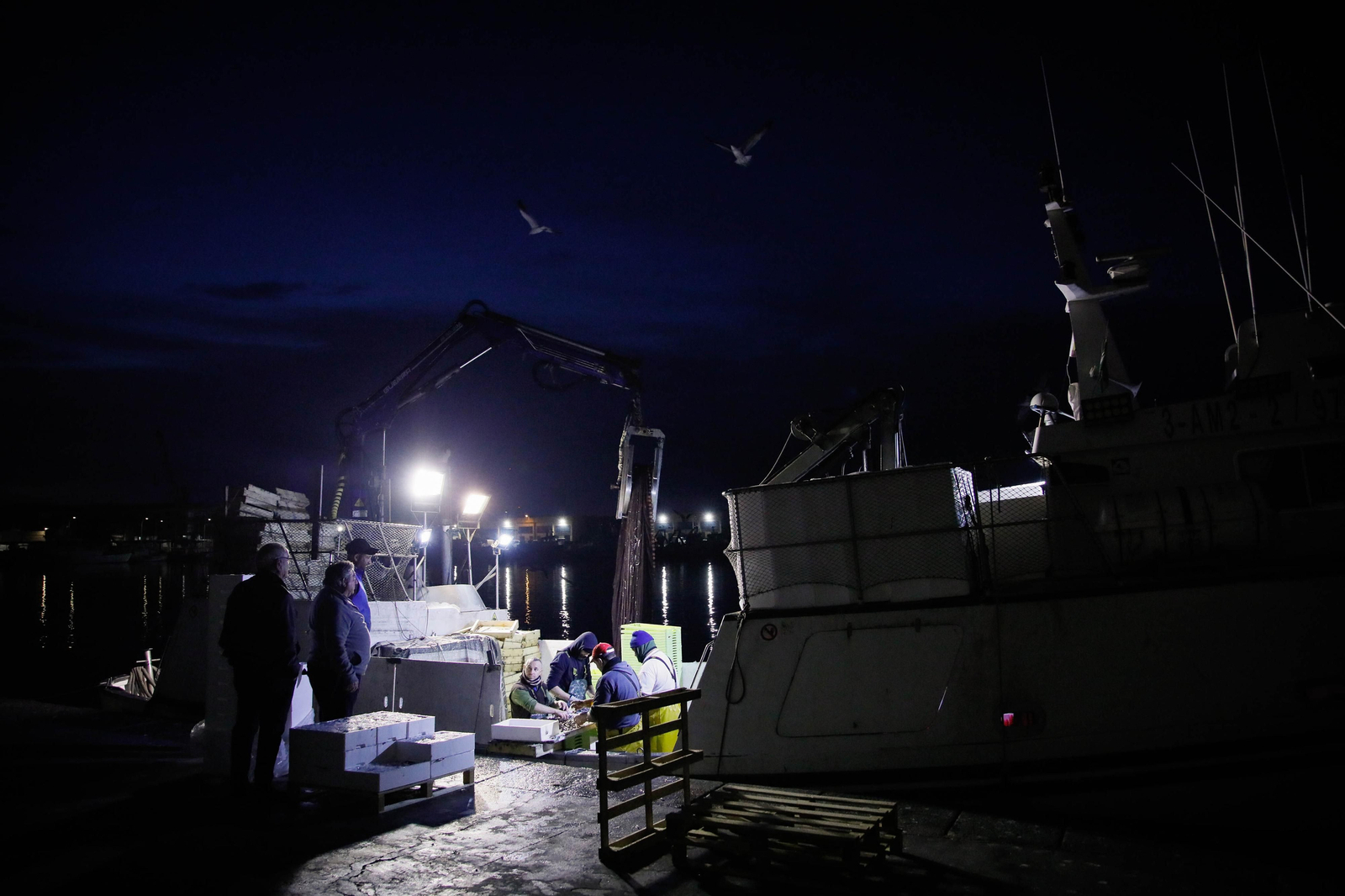 Te contamos en imágenes como ha sido la descarga de las traiñas en la lonja de Almería