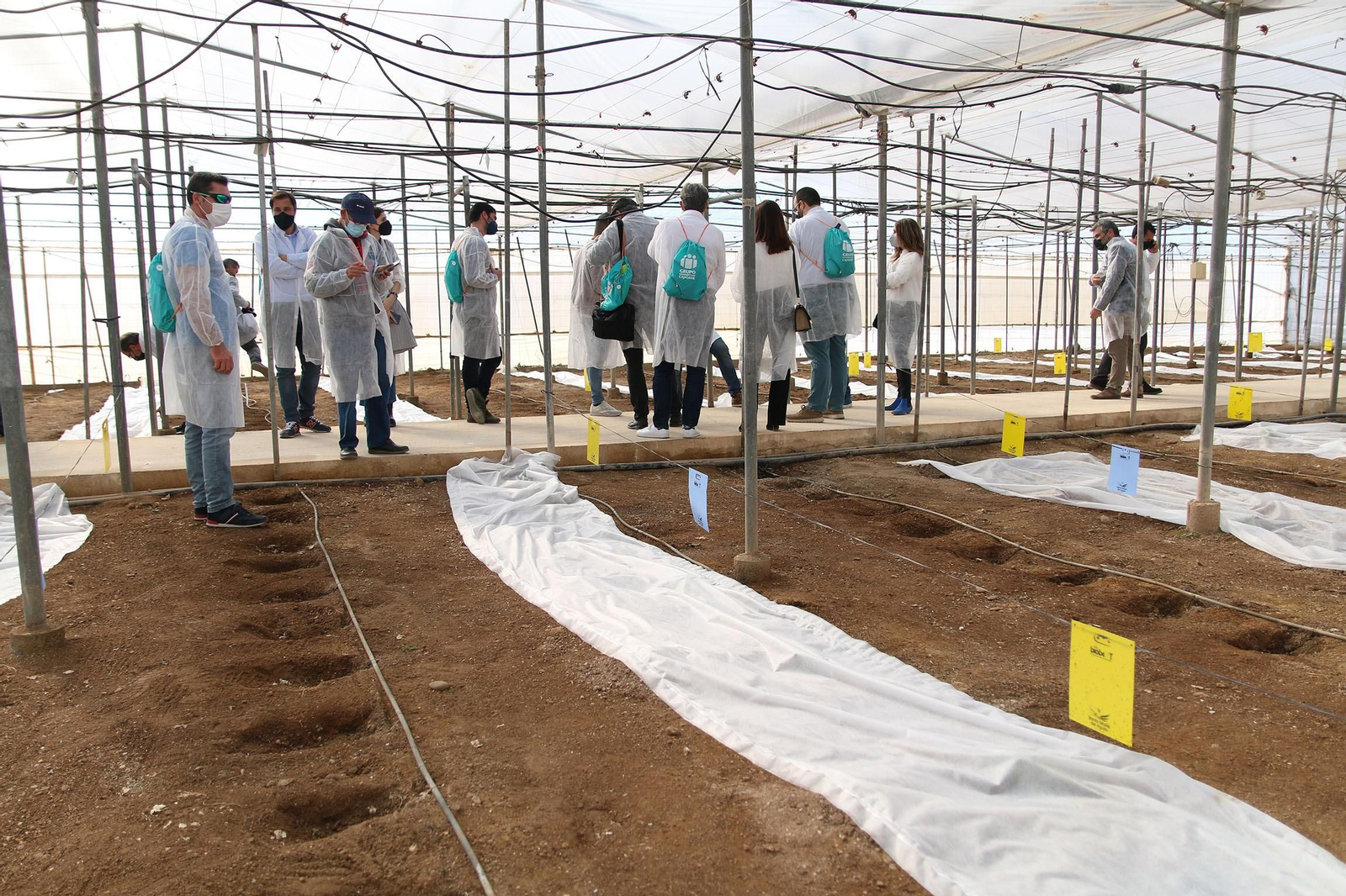 Fotogalería de la presentación de Plataforma Tierra, de Cajamar e IBM
