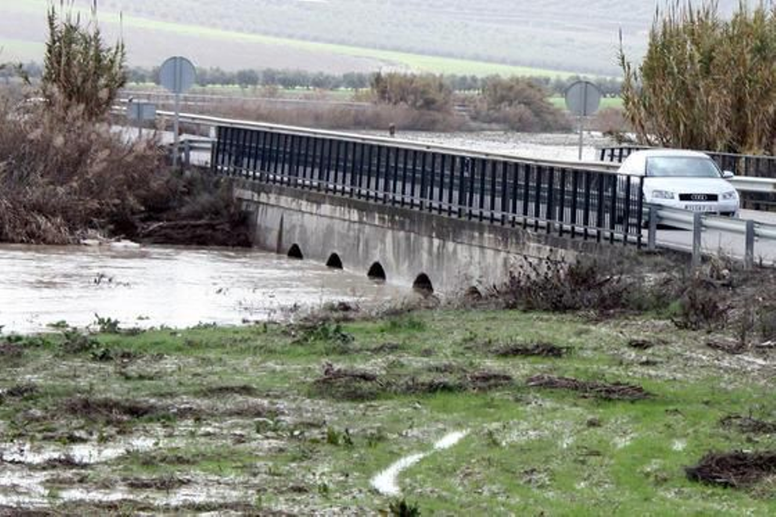 Inundaciones en numerosas fincas de Arroyo Salado.

Foto: Rafael Salido