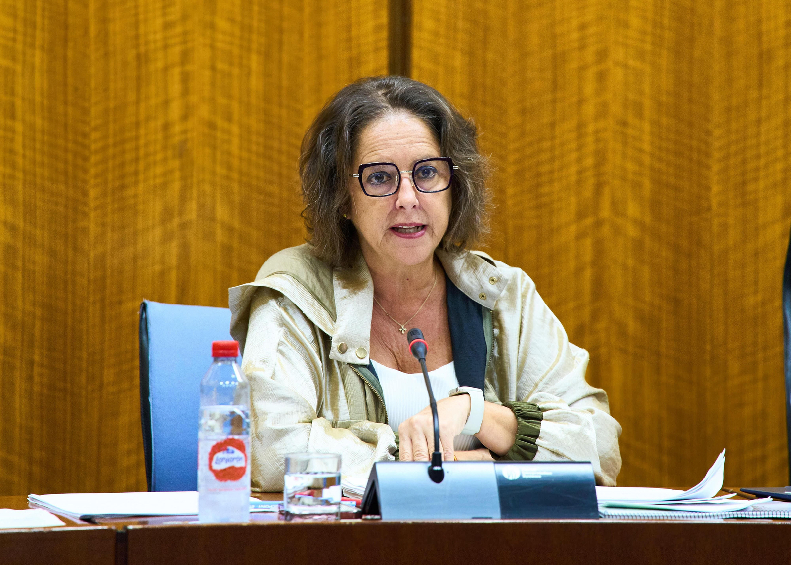 La consejera de Salud en la Comisión parlamentaria para explicar el Presupuesto de su departamento. La consejera de Salud en la Comisión parlamentaria para explicar el Presupuesto de su departamento.
