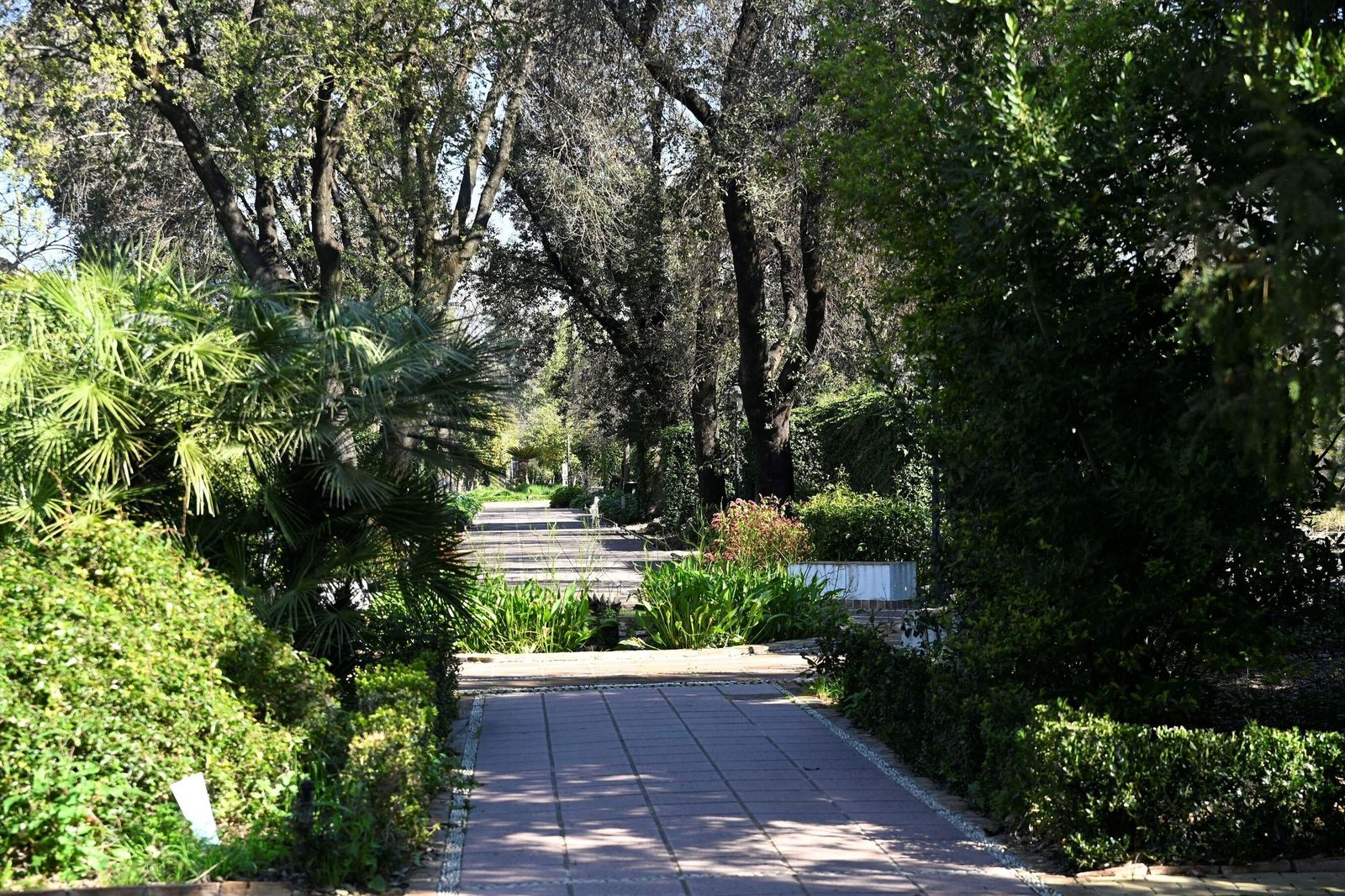 El Jardín Botánico de Córdoba reabre sus puertas tras subsanar los daños por el temporal