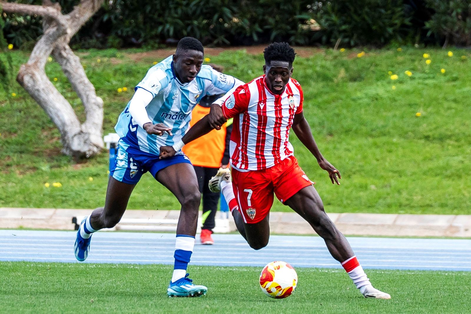 Resultados Segunda RFEF: El CD Estepona y el Atlético Malagueño empatan