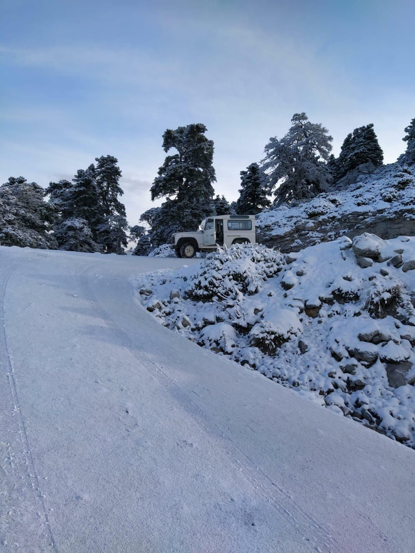 Fotos de la nieve en Ronda, en la subida al Torrecilla