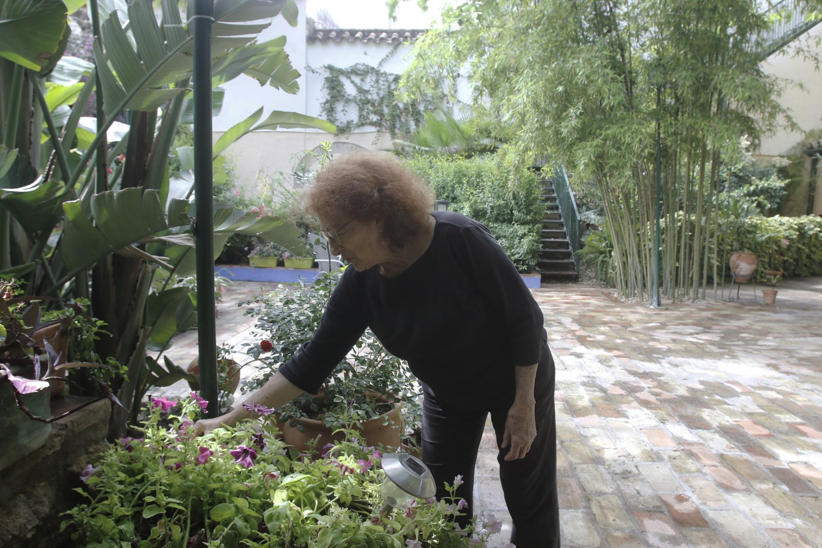 Los Patios de Córdoba en tiempos de crisis: Plaza de las Tazas, 11