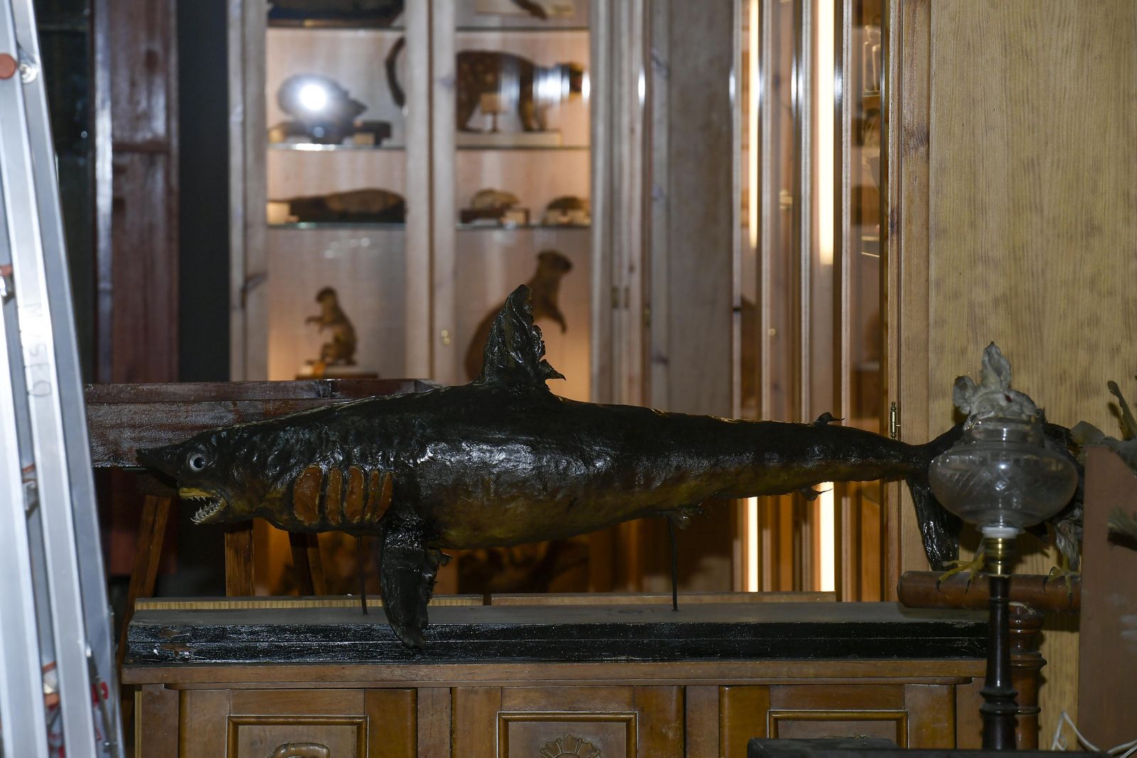 La inauguración del Museo de Ciencia del IES Padre Suárez de Granada, en imágenes