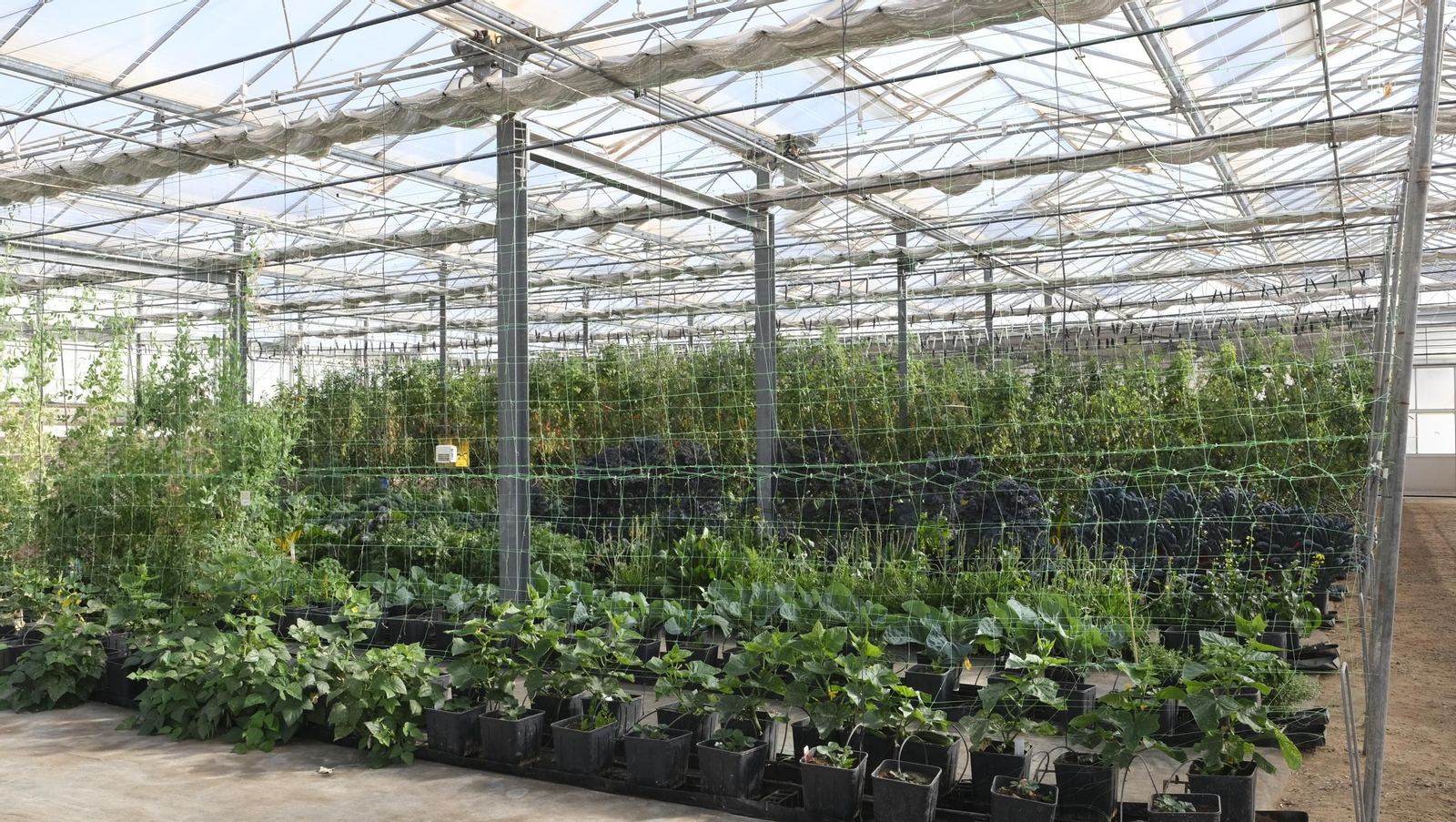 50 años de la Estación Experimental Cajamar-Las Palmerillas, en fotos