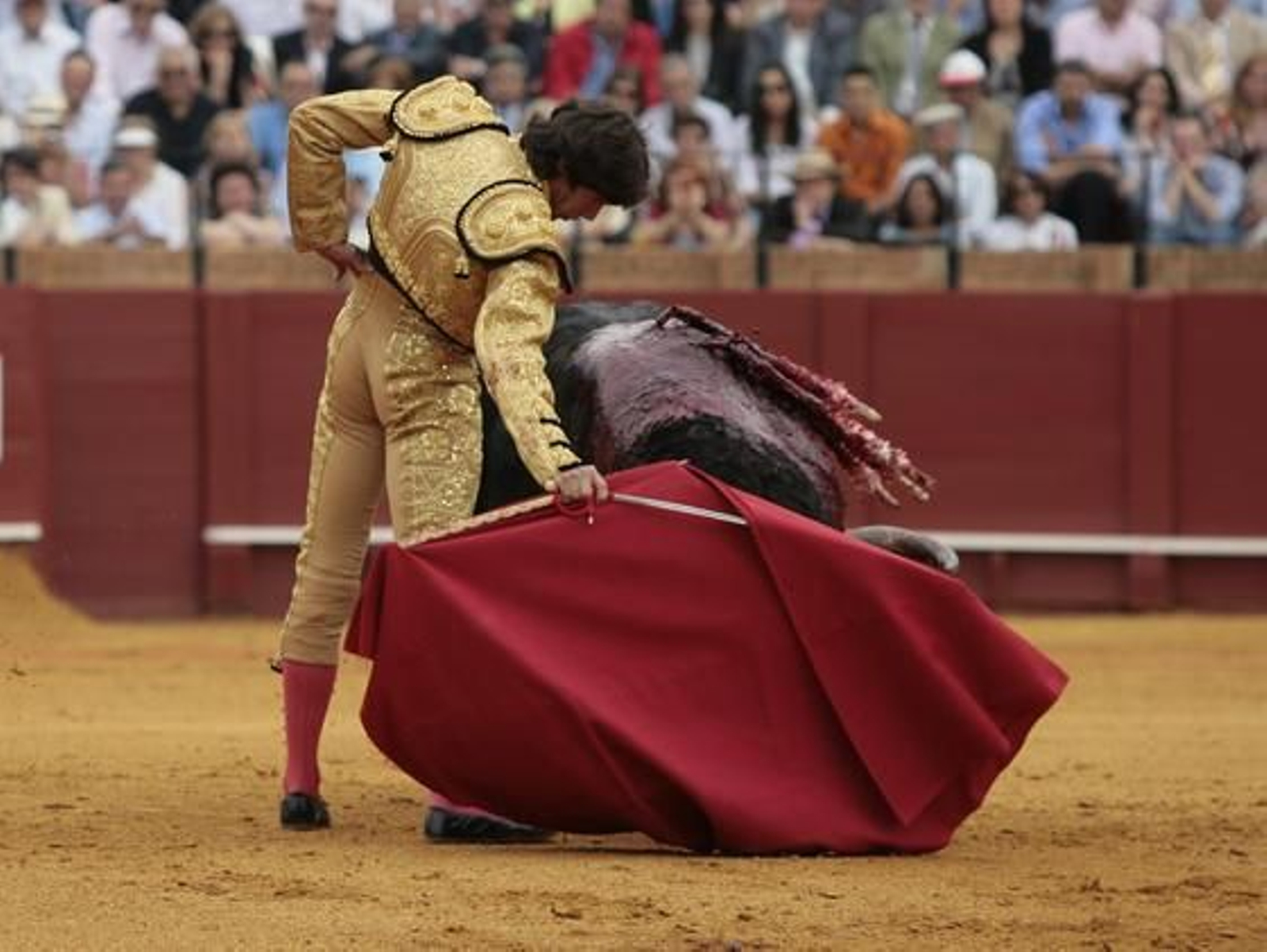 El diestro Sebastian Castella en su primera y única tarde de Feria.

Foto: Juan Carlos Muñoz
