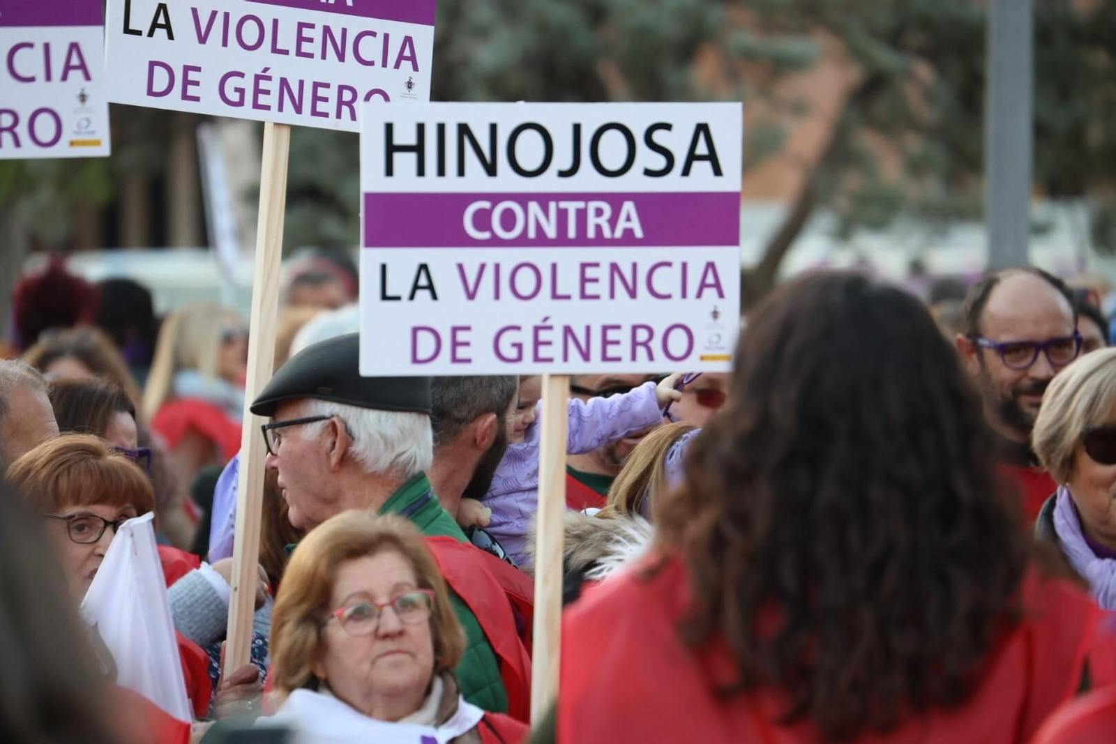 La manifestación del 25N en Córdoba, en imágenes