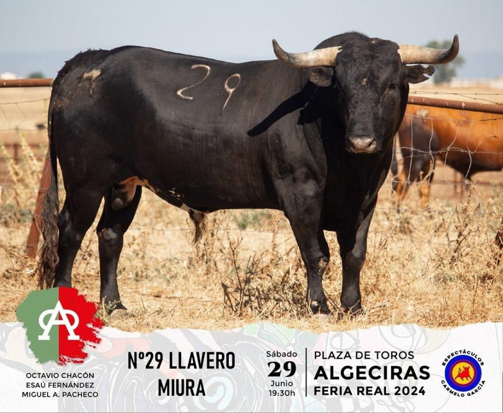 Llavero, nº 29 (Miura).