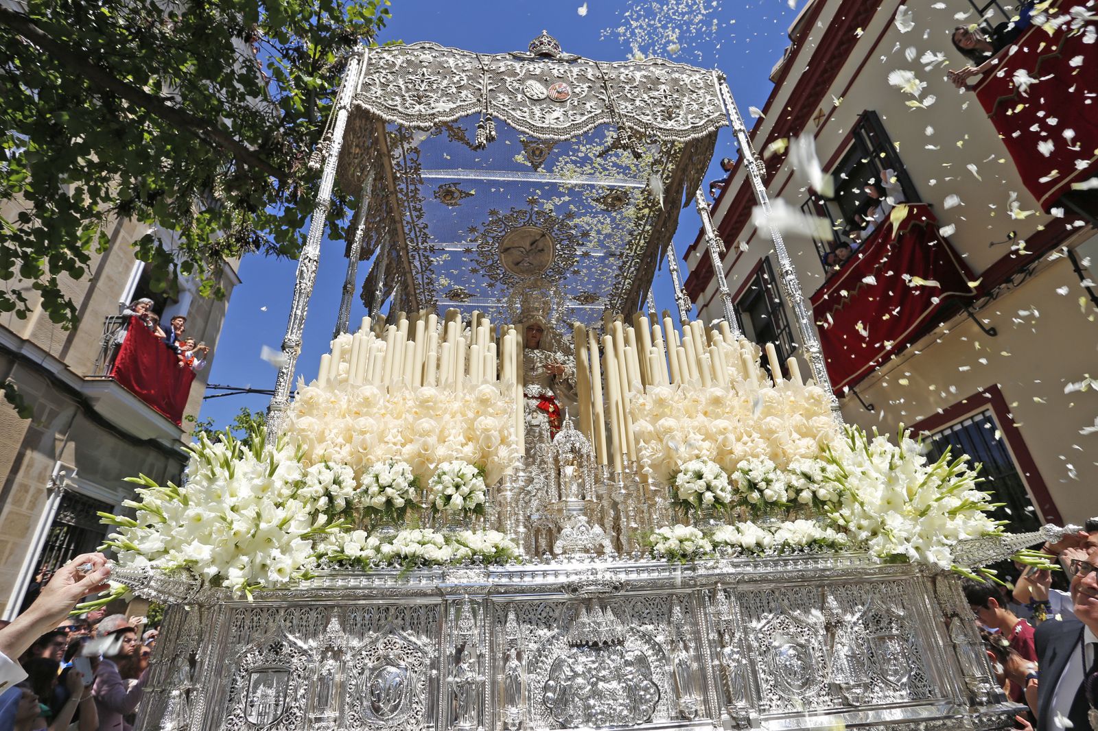 Las imágenes del Domingo de Ramos en Sevilla