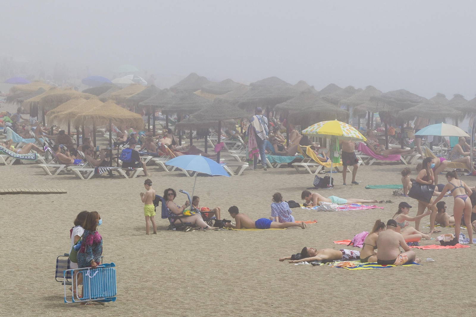 El taró provoca la prohibición del baño en las playas de Málaga, en imágenes