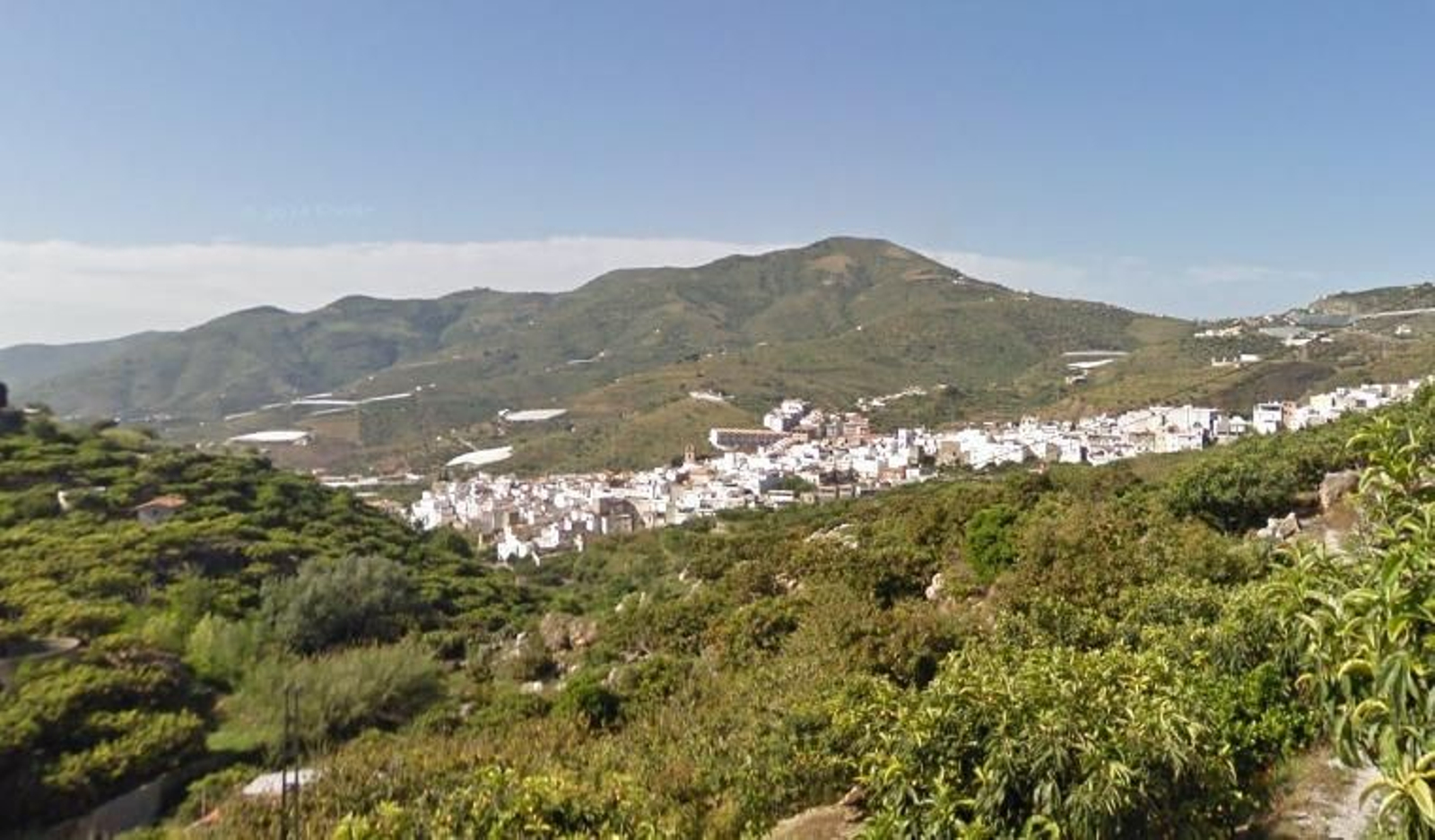 Vista del pueblo y su huerta tropical.