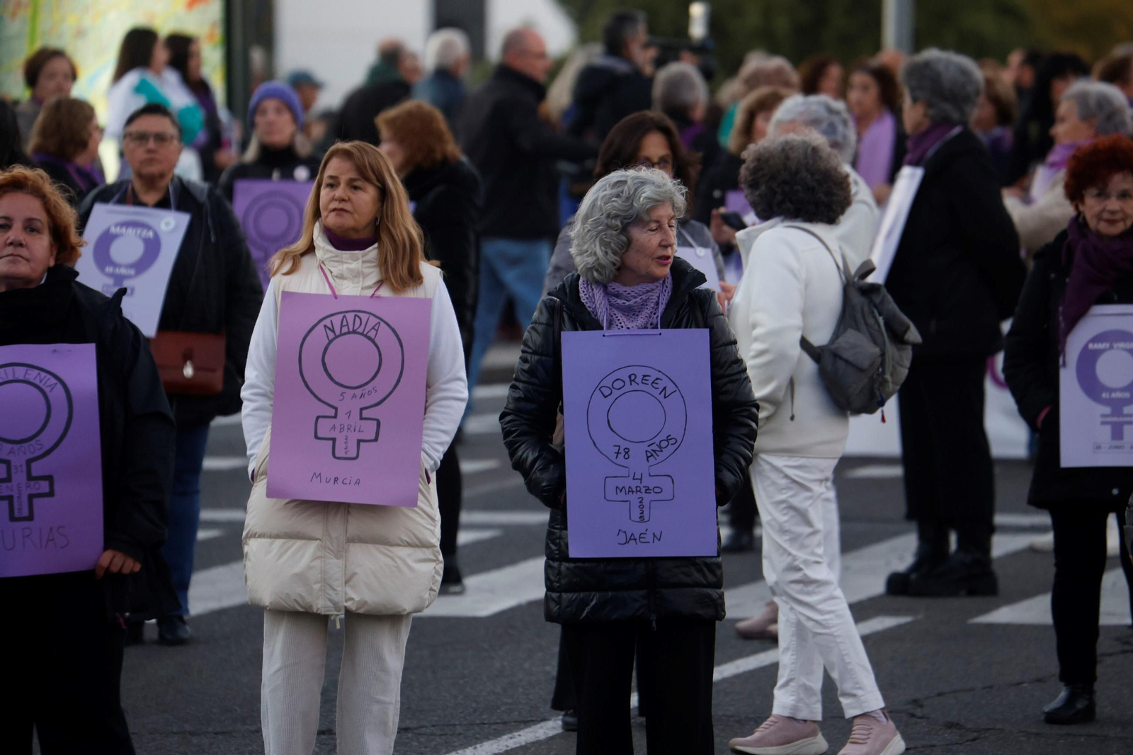 La manifestación del 25N en Córdoba
