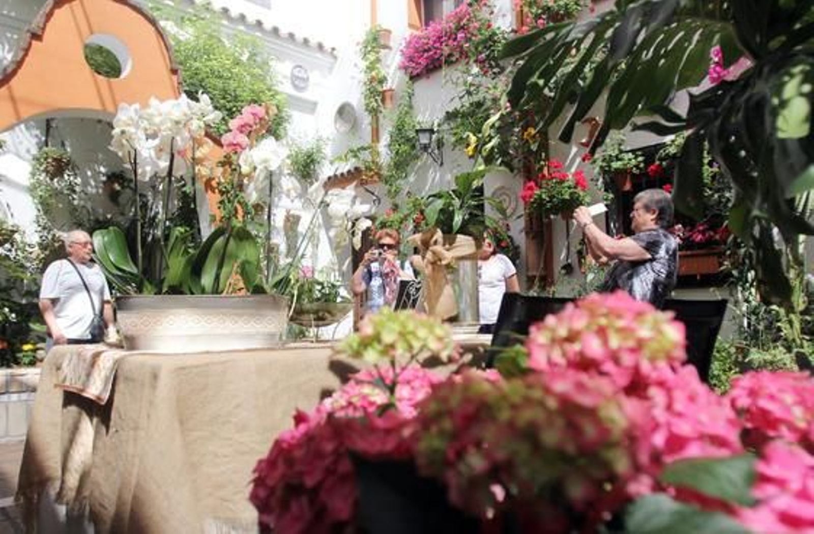 Chaparro 3.

Foto: Jose Martinez