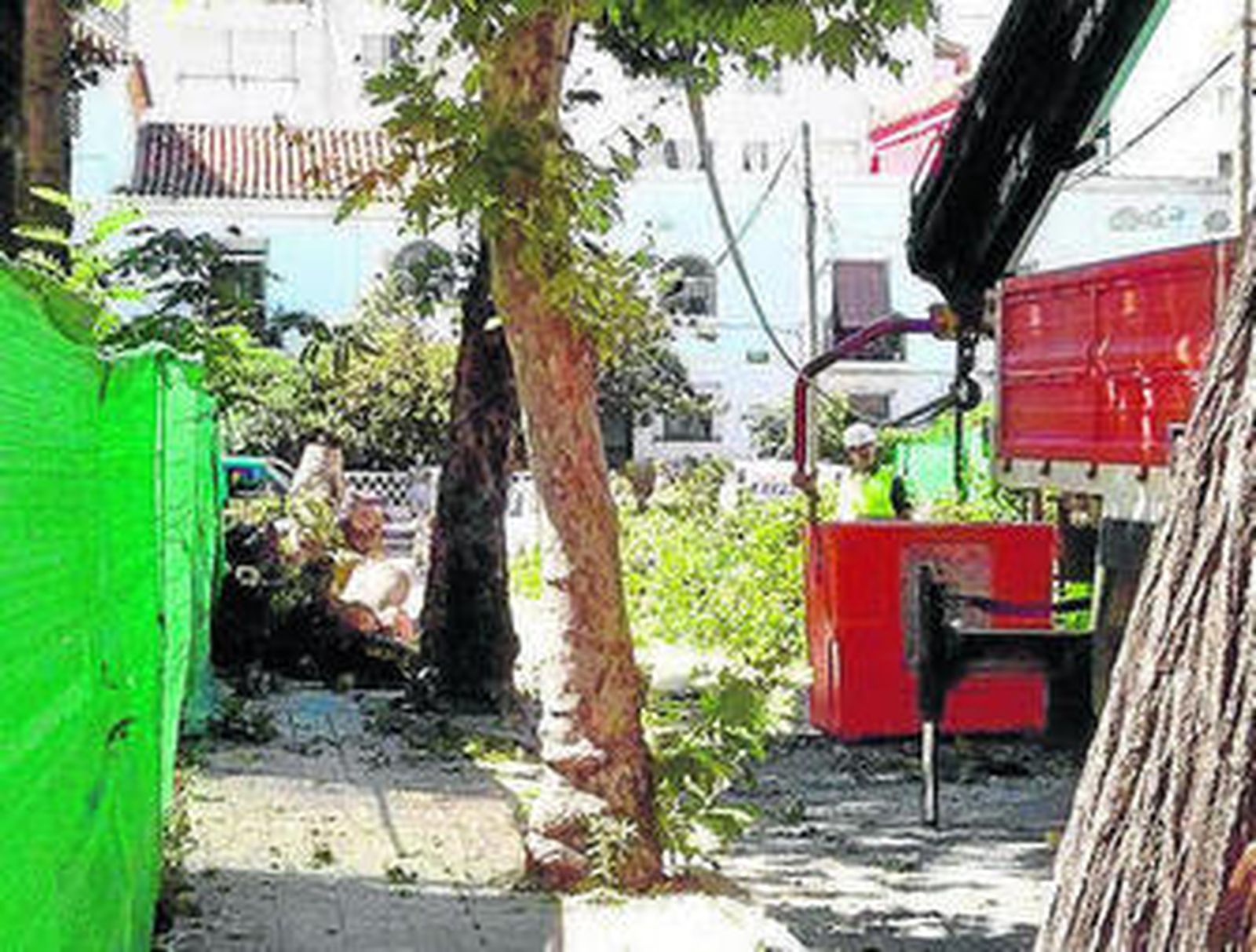 La tala de los árboles comenzó ayer lunes.